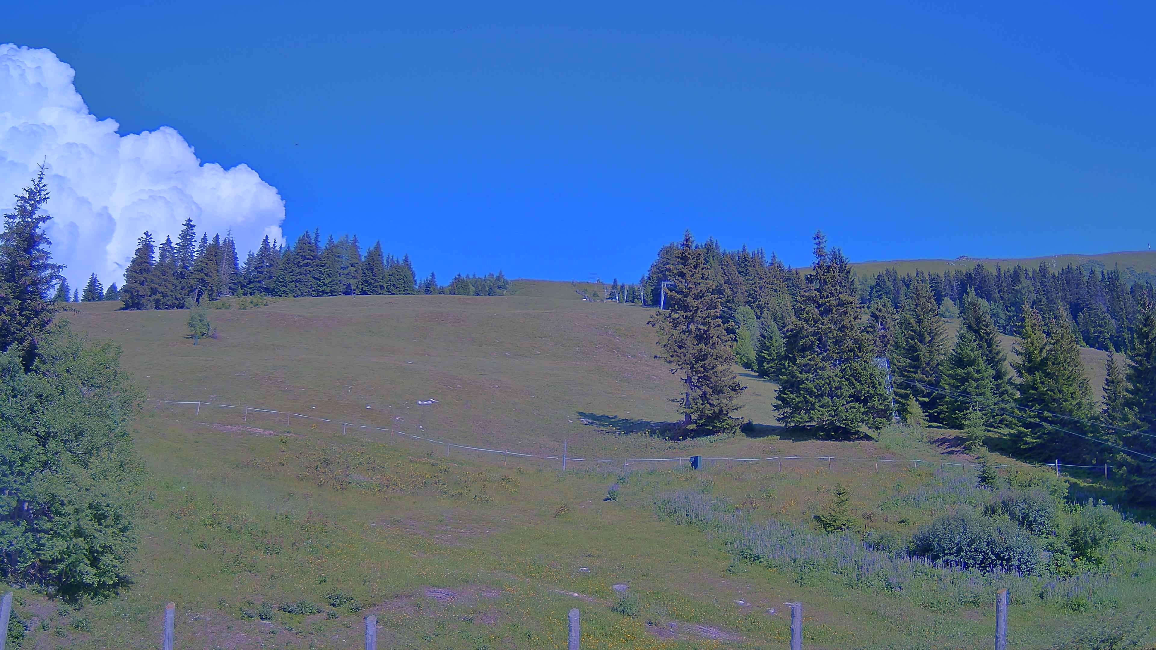 Archiv Foto Webcam Koralpe: Blick Talstation