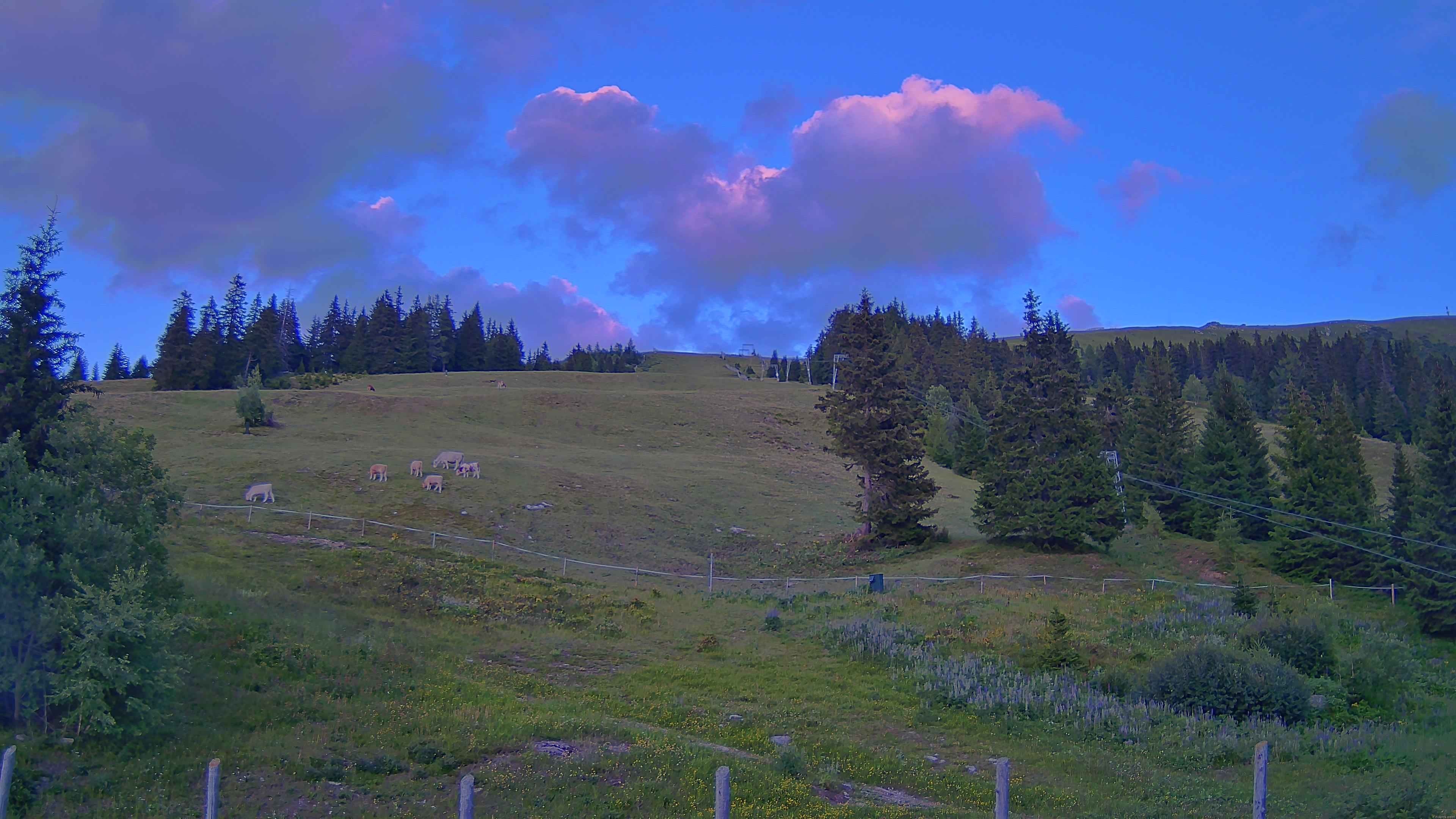 Archiv Foto Webcam Koralpe: Blick Talstation