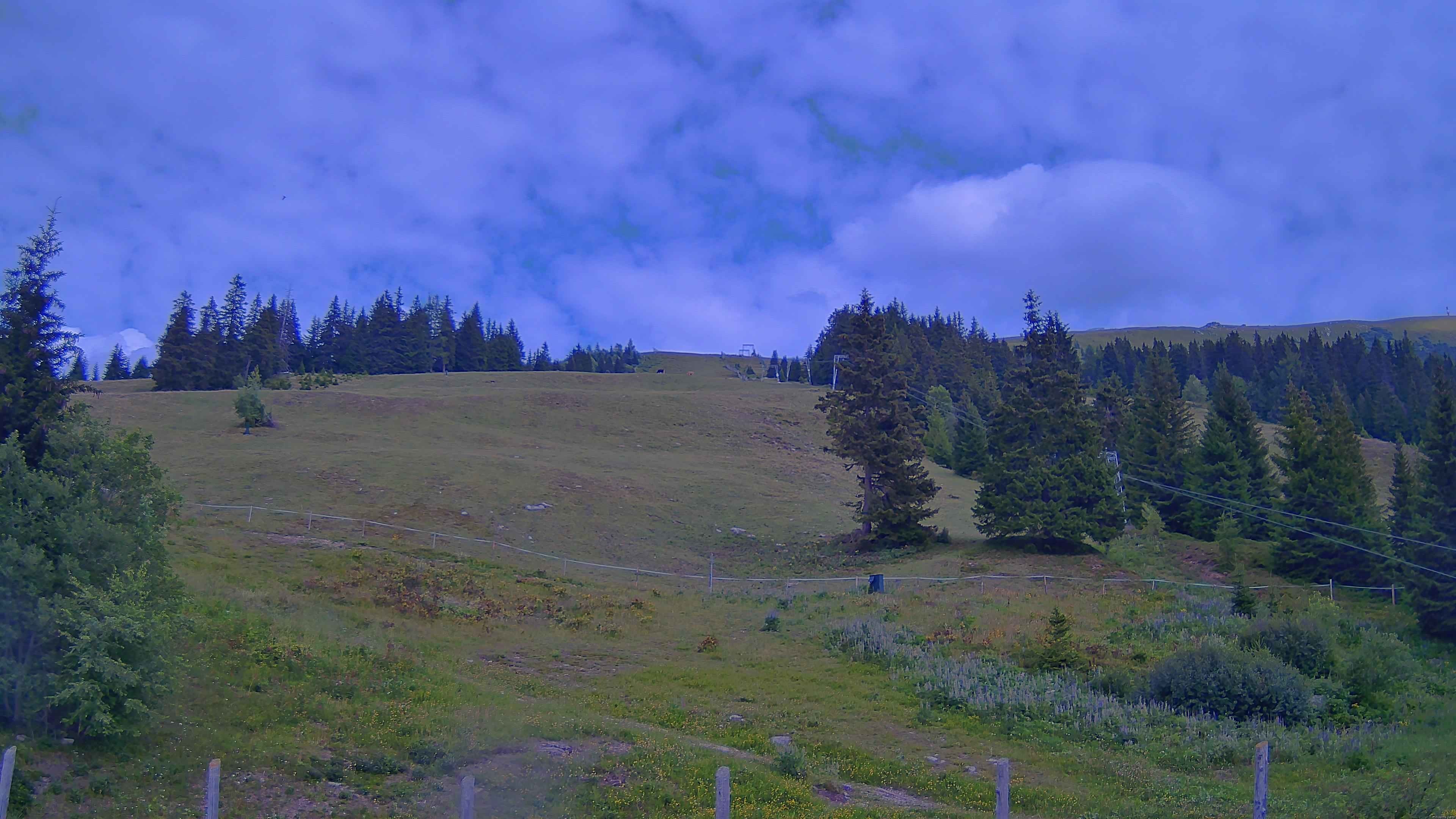 Archiv Foto Webcam Koralpe: Blick Talstation