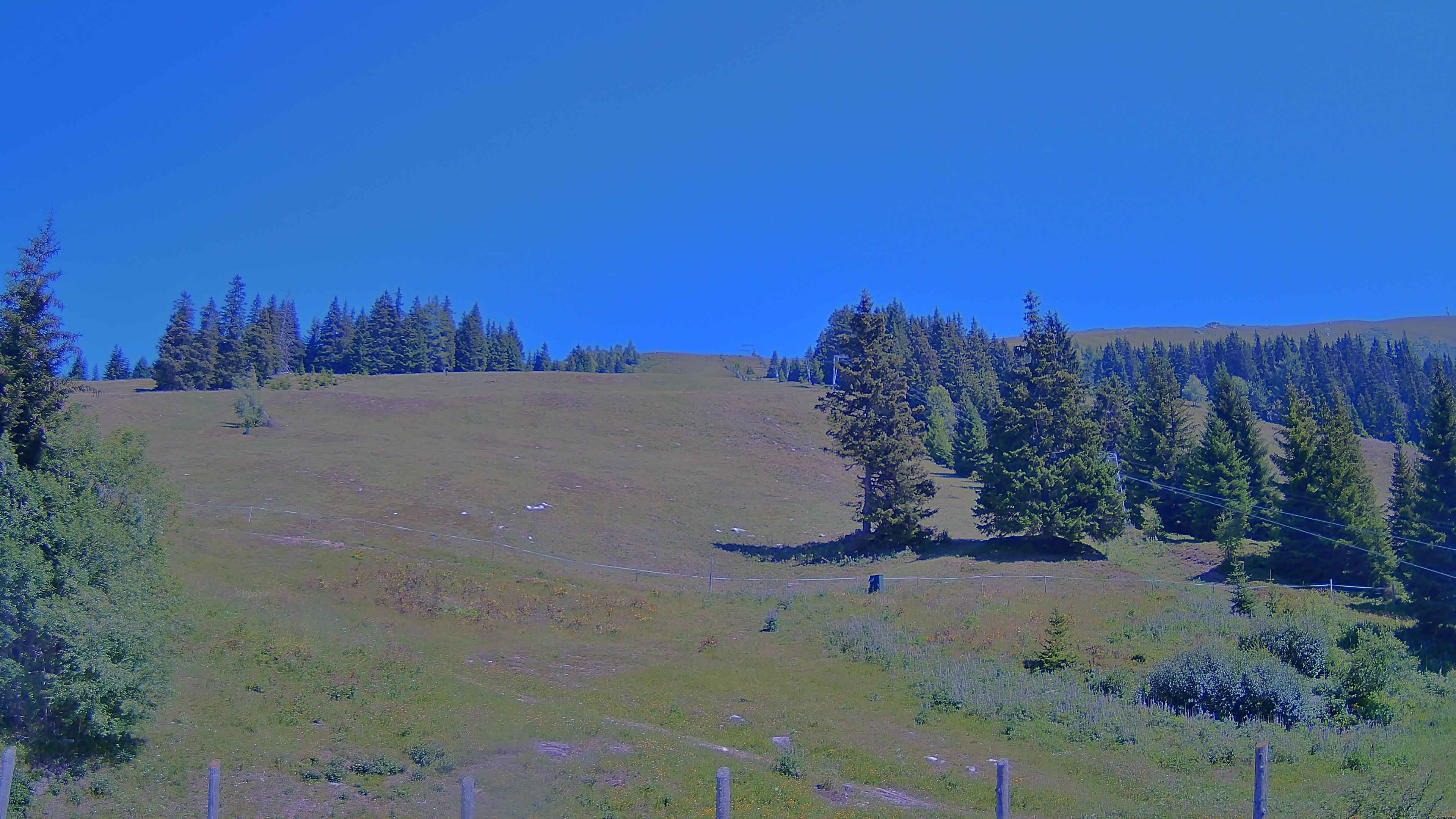 Archiv Foto Webcam Koralpe: Blick Talstation