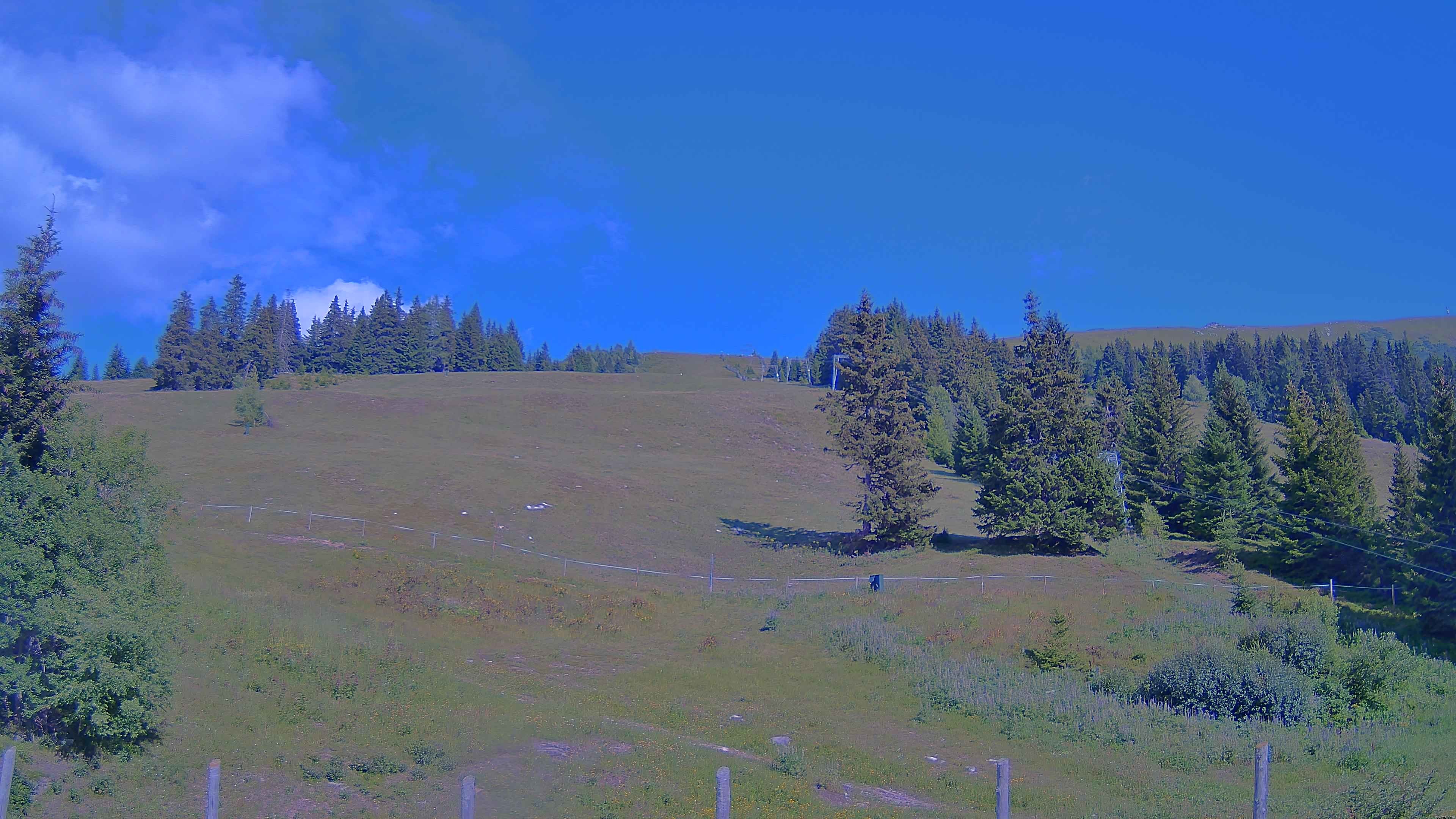 Archiv Foto Webcam Koralpe: Blick Talstation