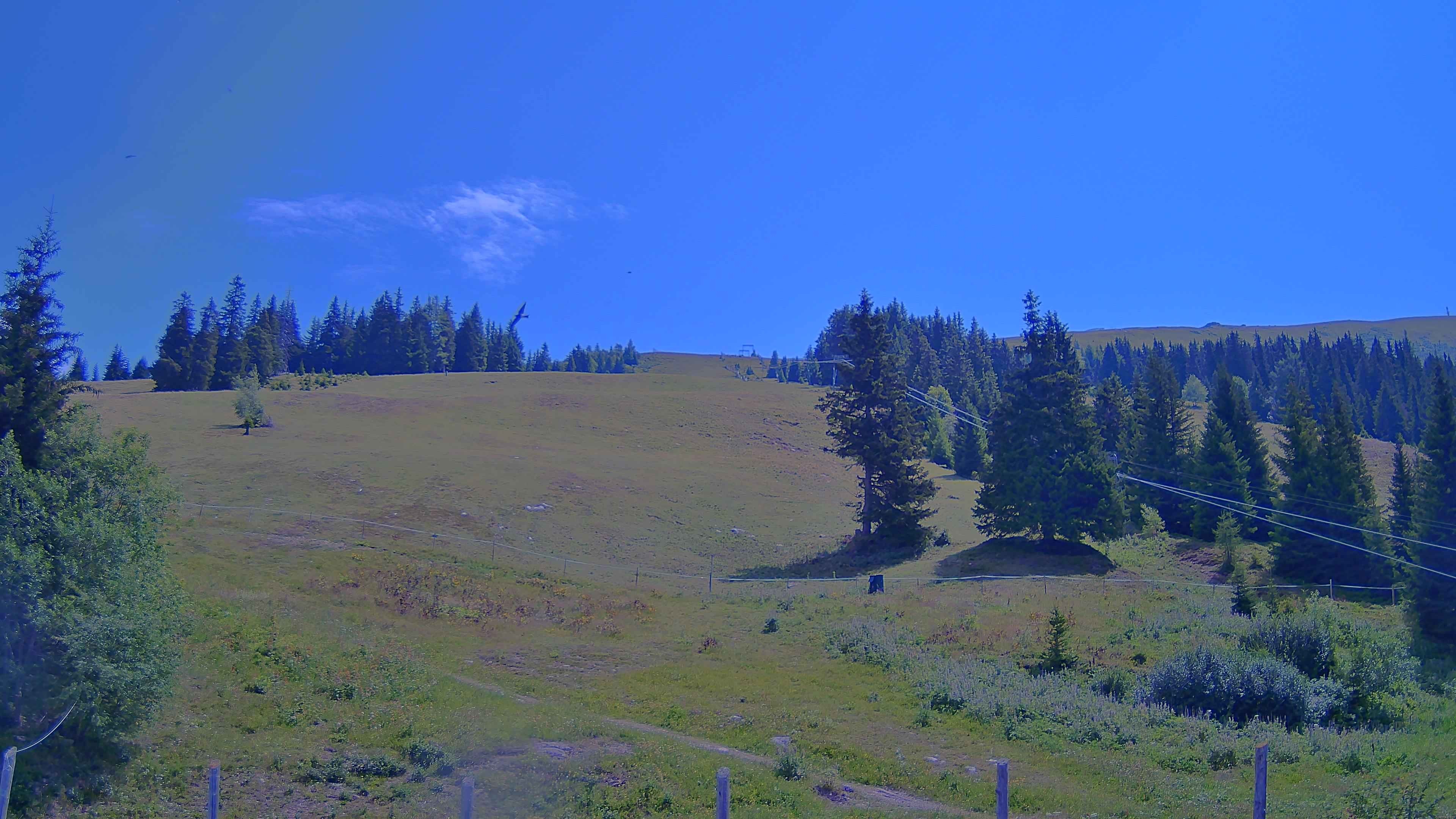 Archiv Foto Webcam Koralpe: Blick Talstation