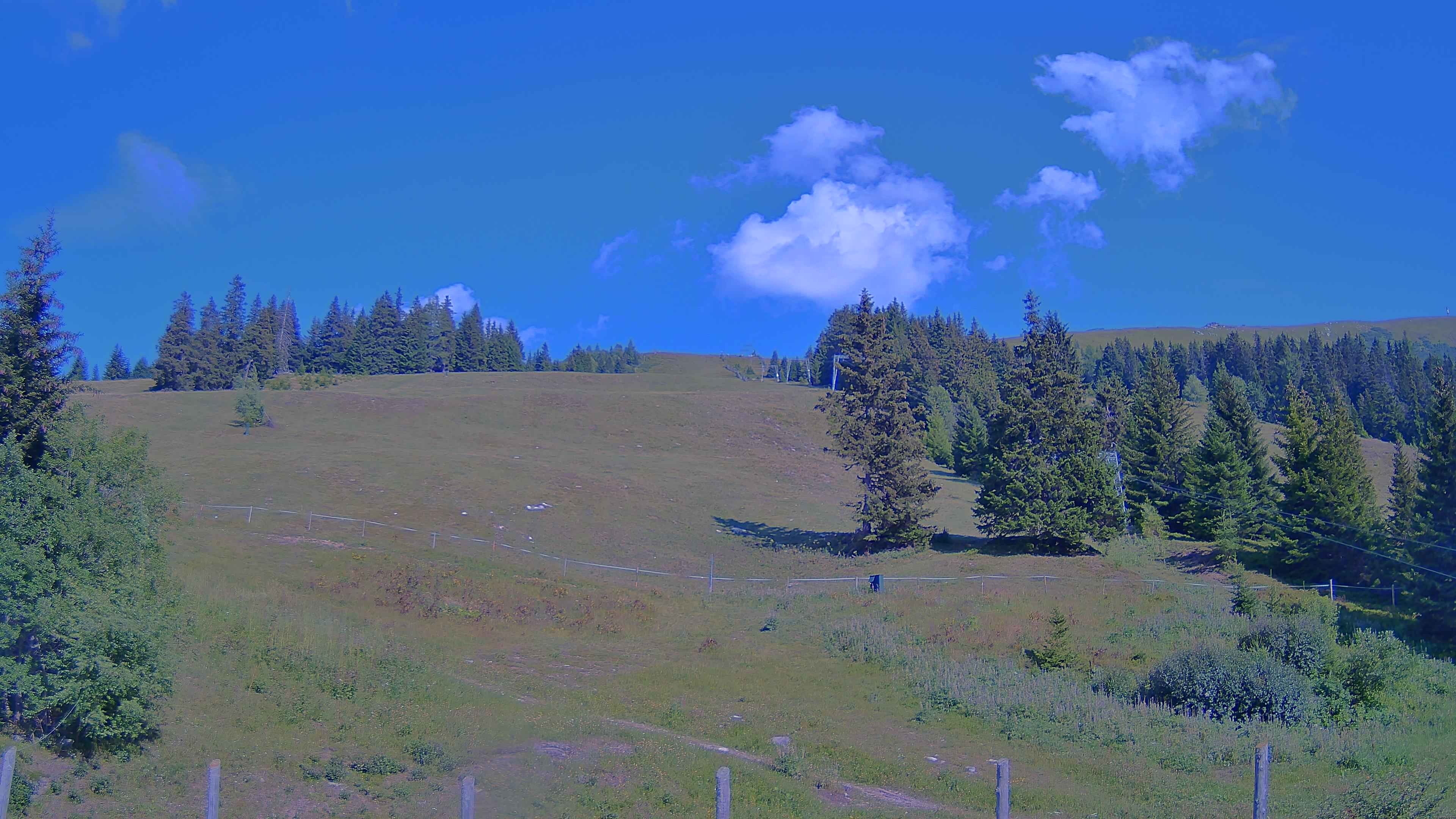 Archiv Foto Webcam Koralpe: Blick Talstation