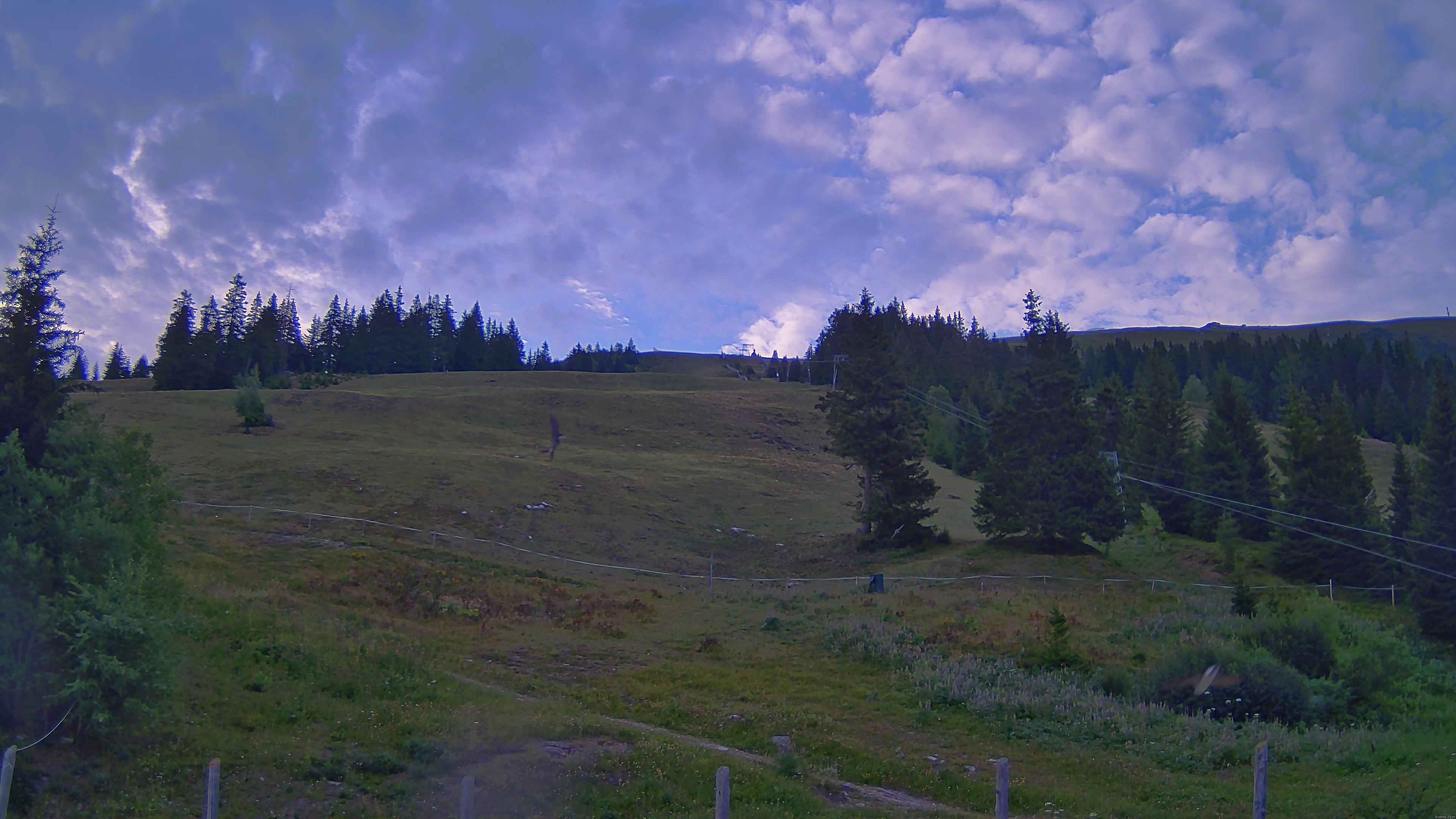 Archiv Foto Webcam Koralpe: Blick Talstation