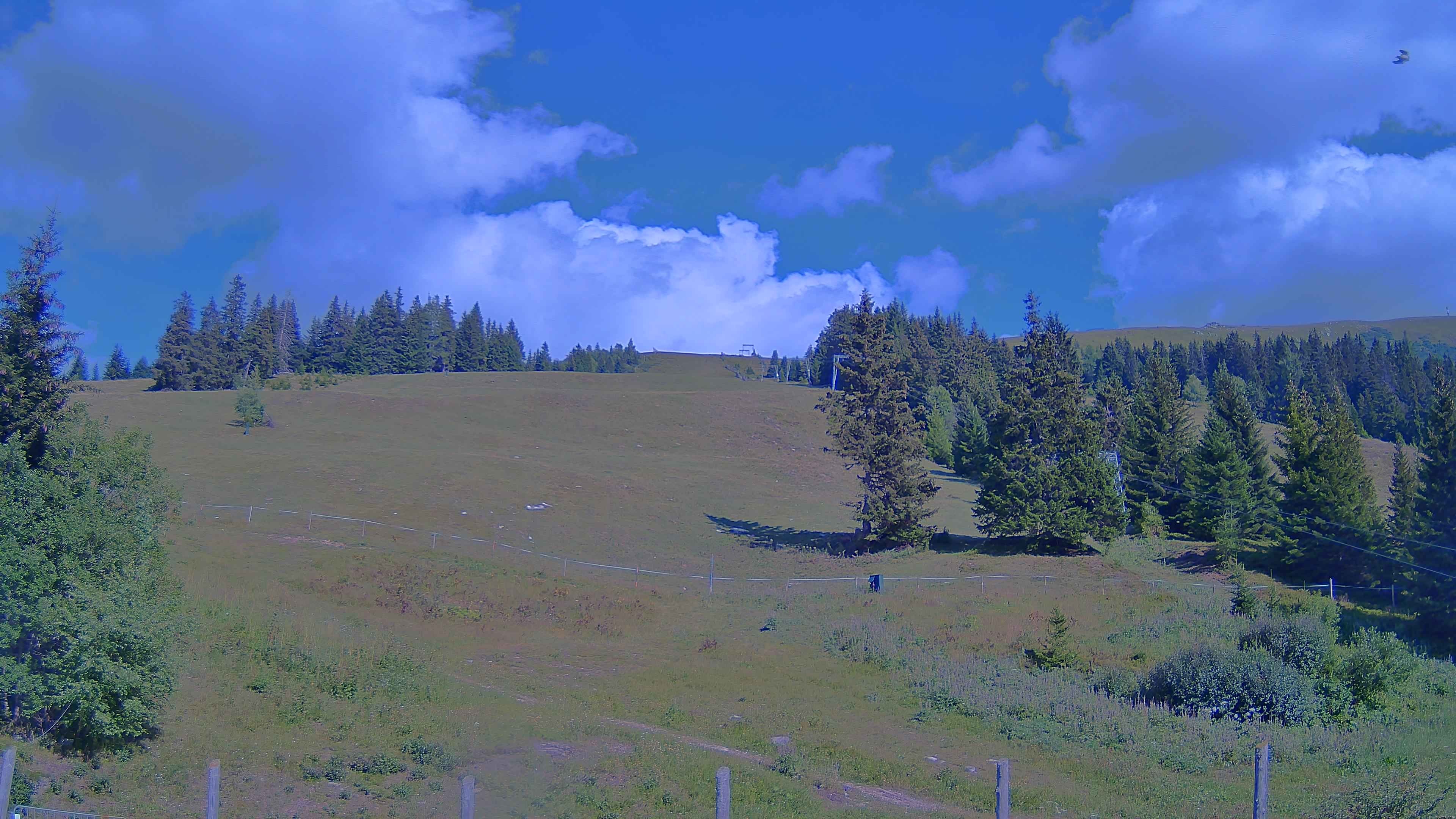 Archiv Foto Webcam Koralpe: Blick Talstation