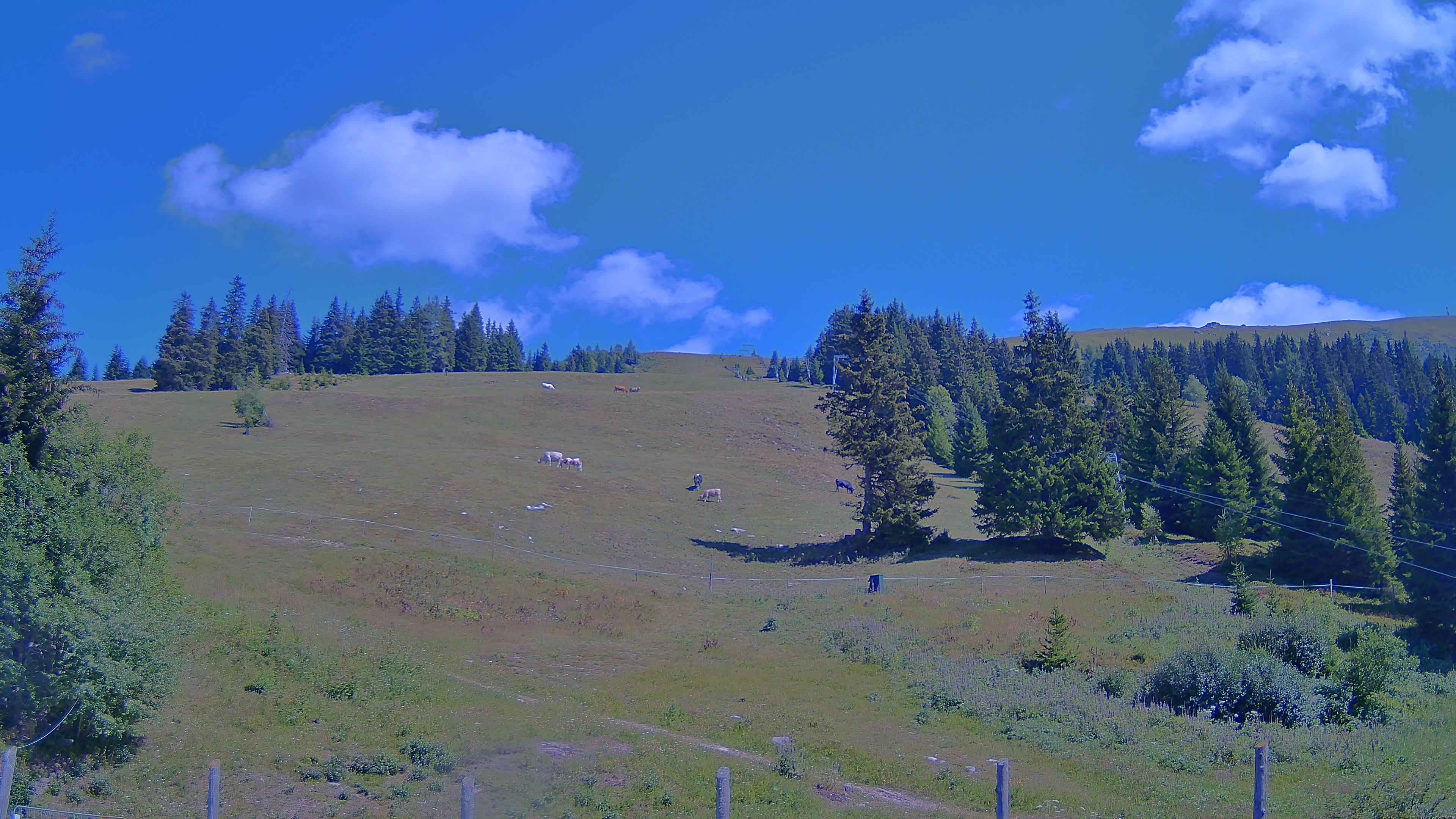 Archiv Foto Webcam Koralpe: Blick Talstation