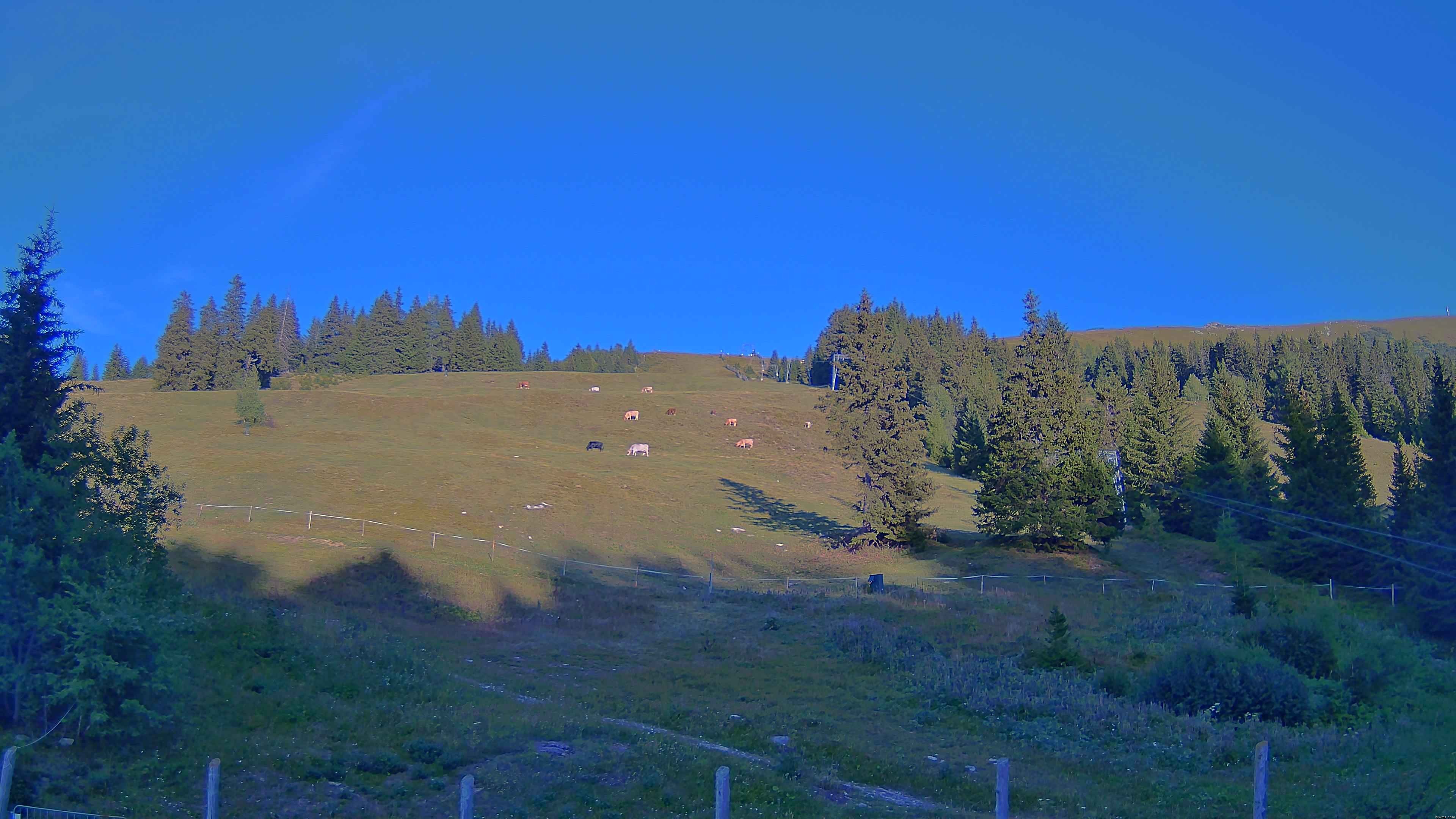 Archiv Foto Webcam Koralpe: Blick Talstation