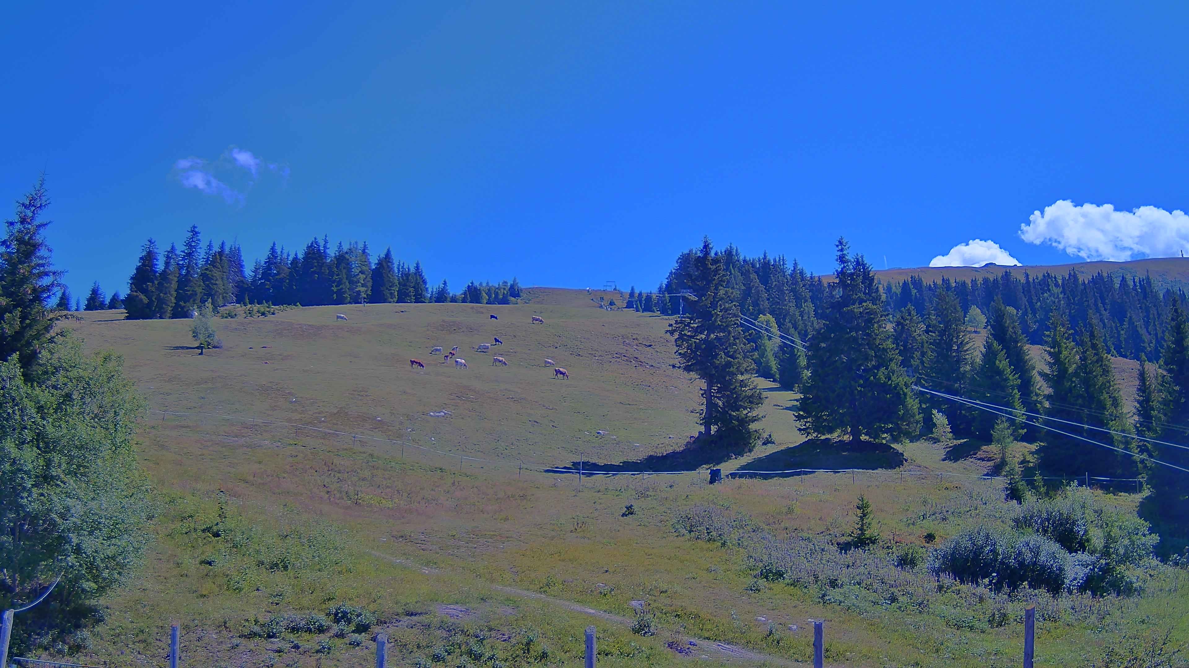 Archiv Foto Webcam Koralpe: Blick Talstation