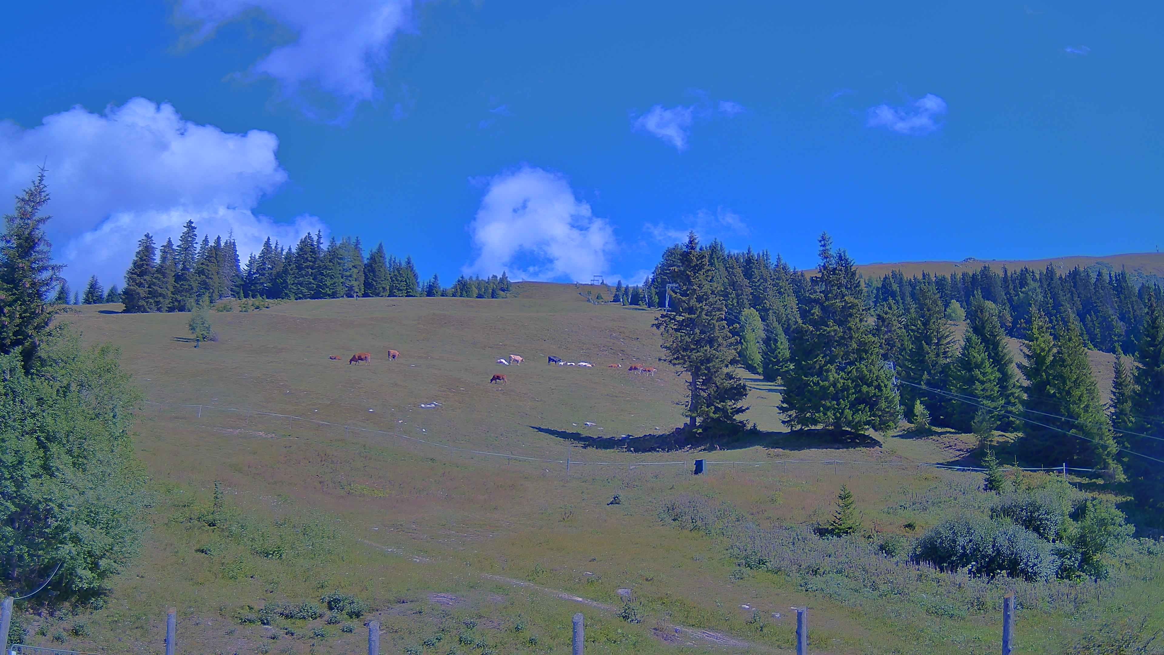Archiv Foto Webcam Koralpe: Blick Talstation