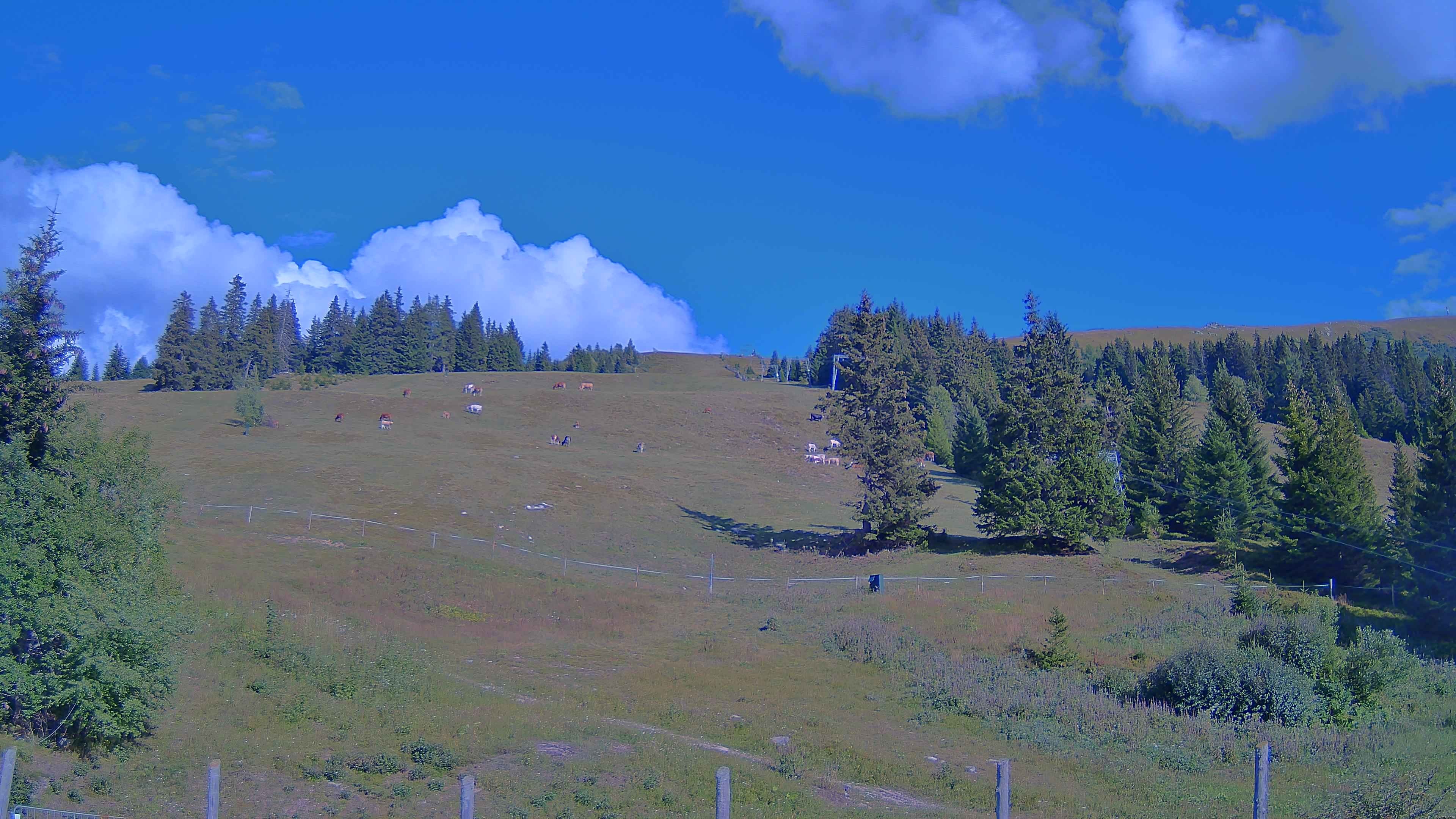 Archiv Foto Webcam Koralpe: Blick Talstation