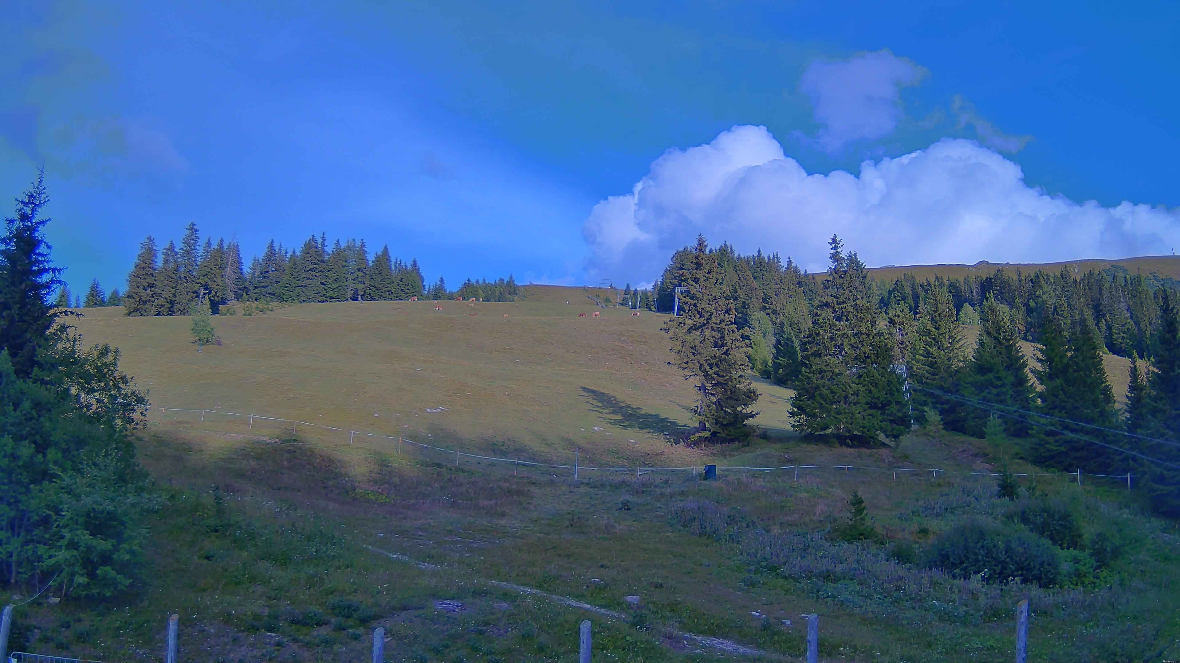 Archiv Foto Webcam Koralpe: Blick Talstation