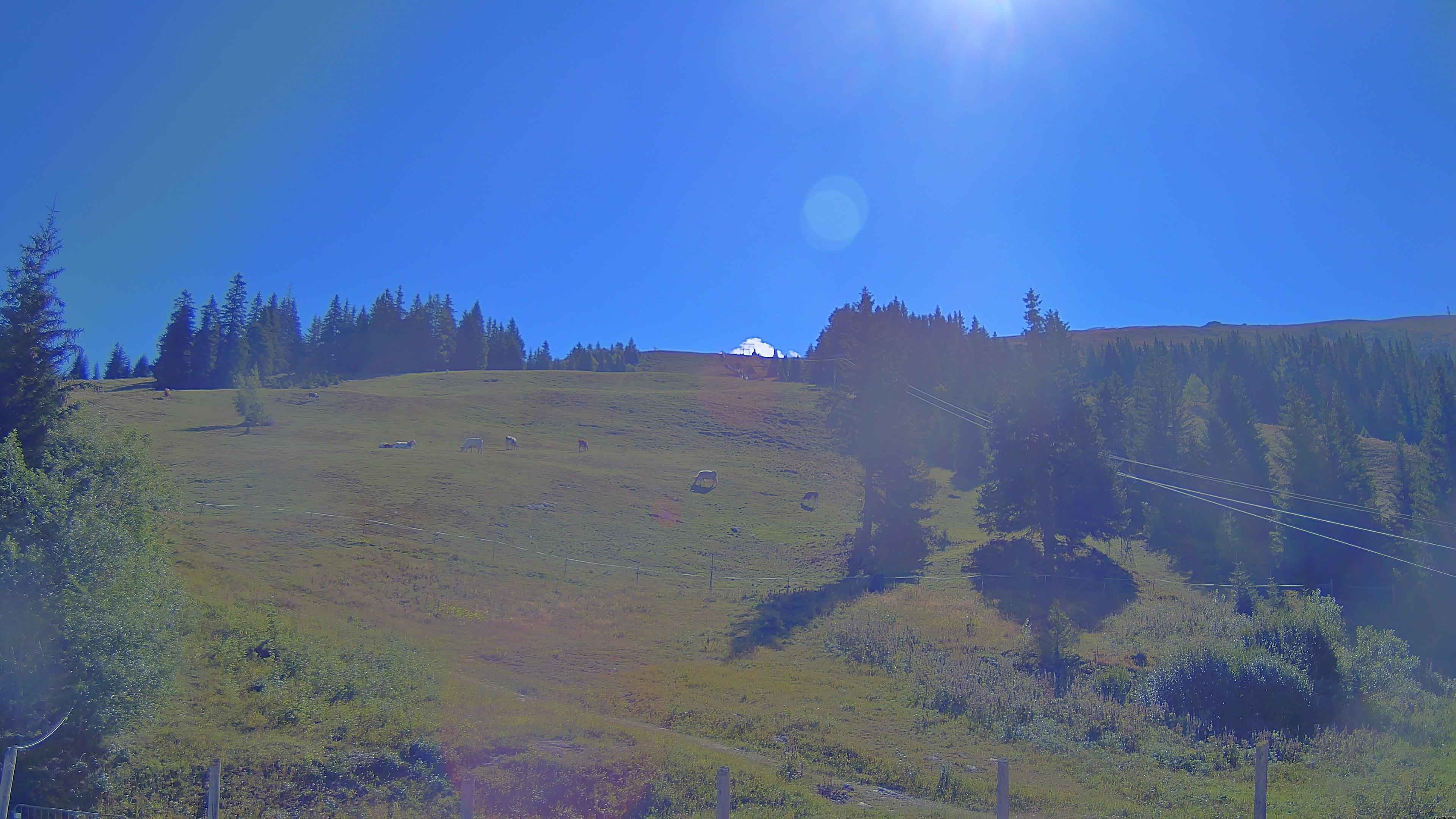 Archiv Foto Webcam Koralpe: Blick Talstation