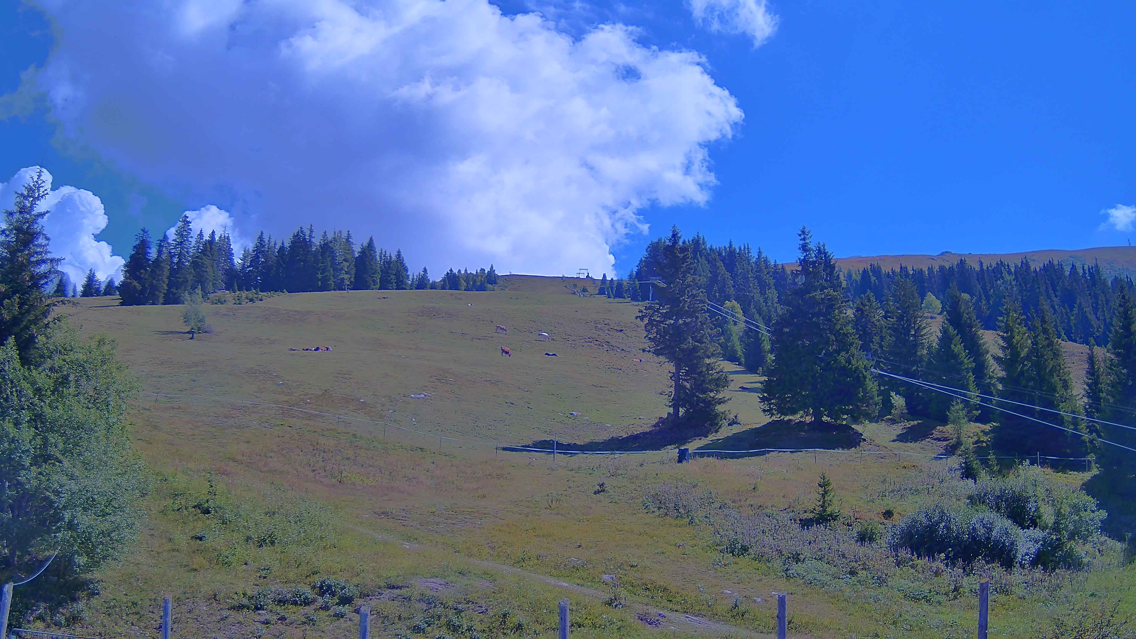 Archiv Foto Webcam Koralpe: Blick Talstation