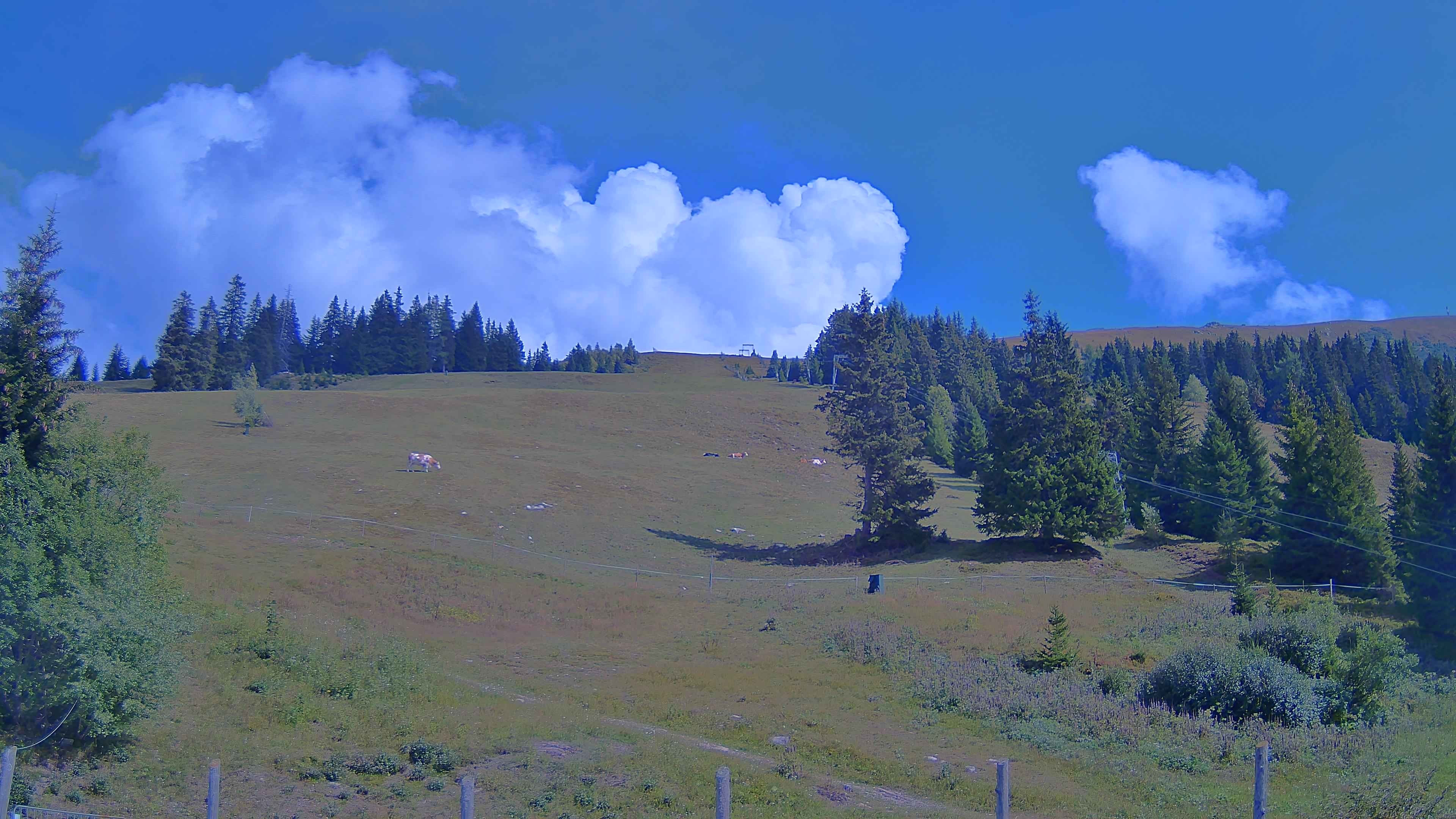 Archiv Foto Webcam Koralpe: Blick Talstation