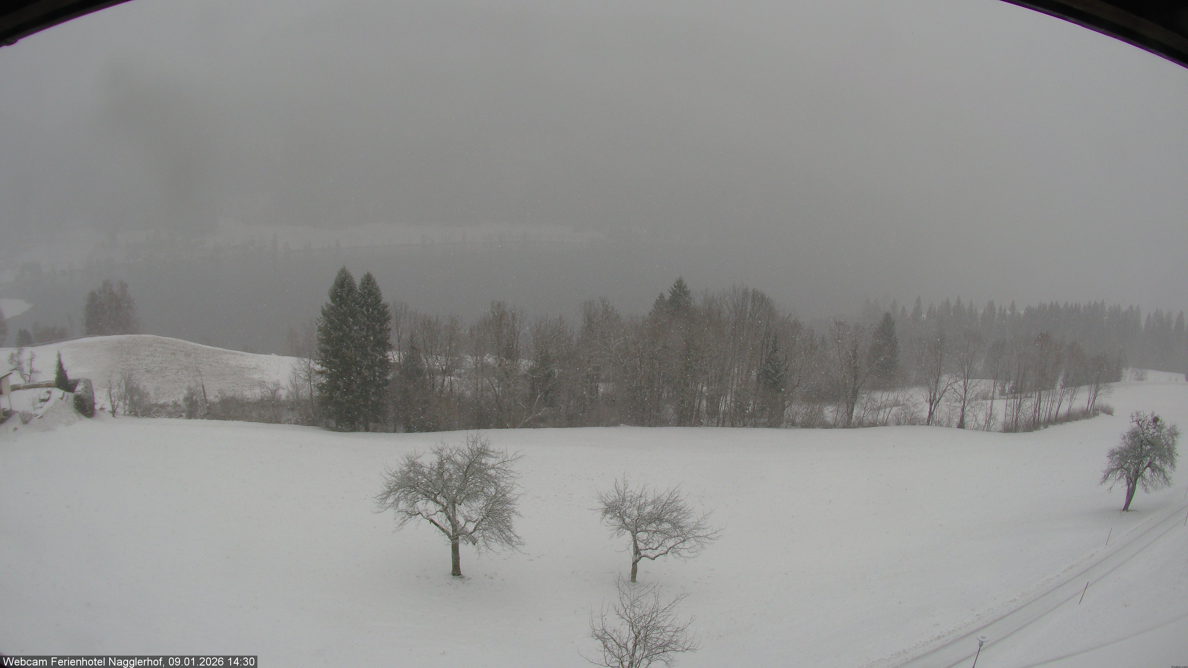 Archiv Foto Webcam Weißensee: Sicht vom Ferienhotel Nagglerhof