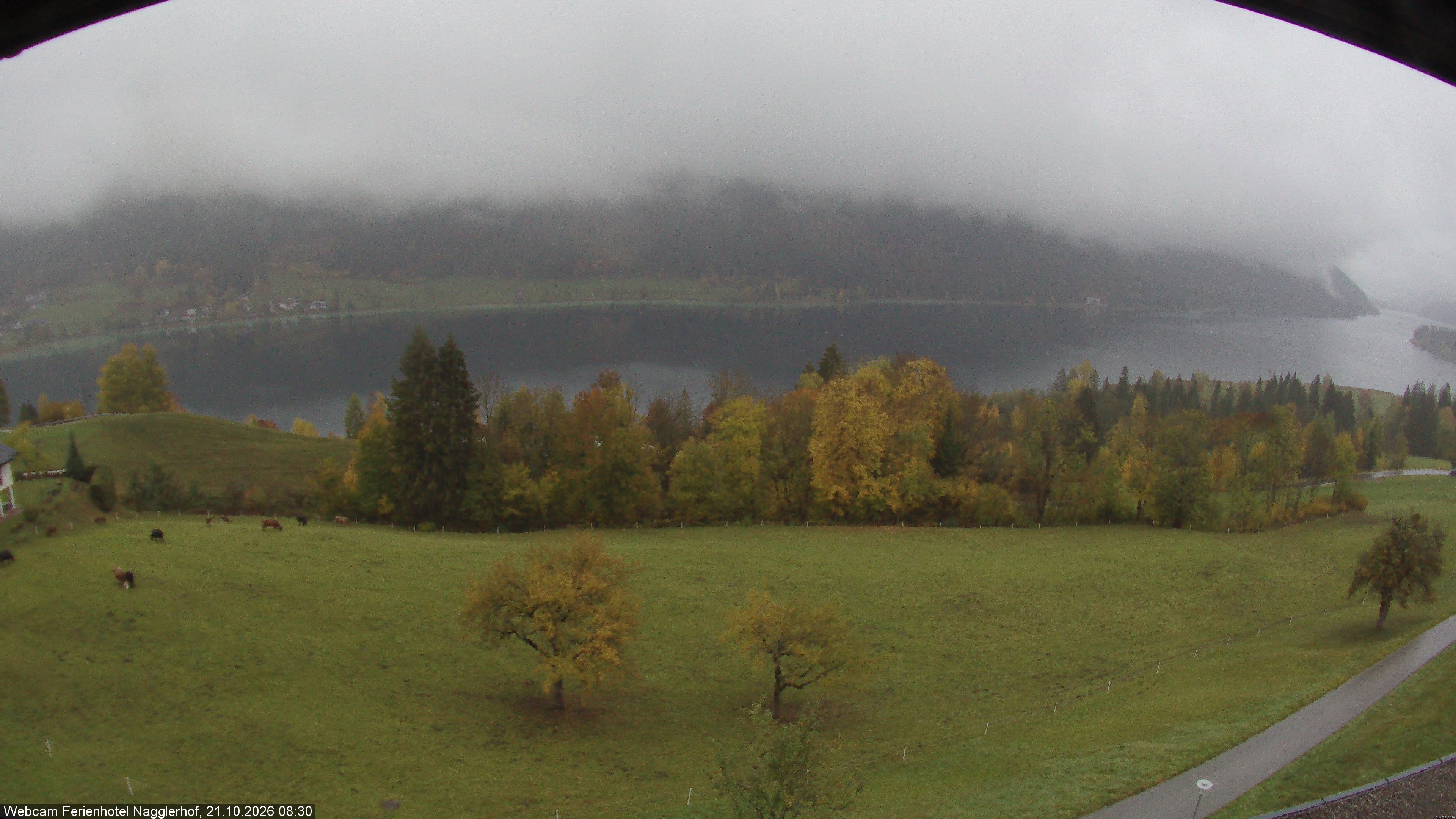 Archiv Foto Webcam Weißensee: Sicht vom Ferienhotel Nagglerhof