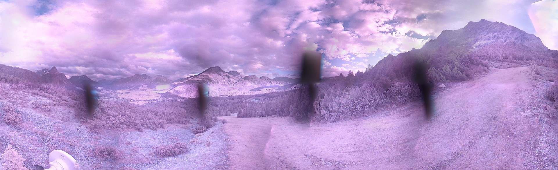 Archiv Foto Webcam Weißlähnabfahrt, Skigebiet Ehrwald
