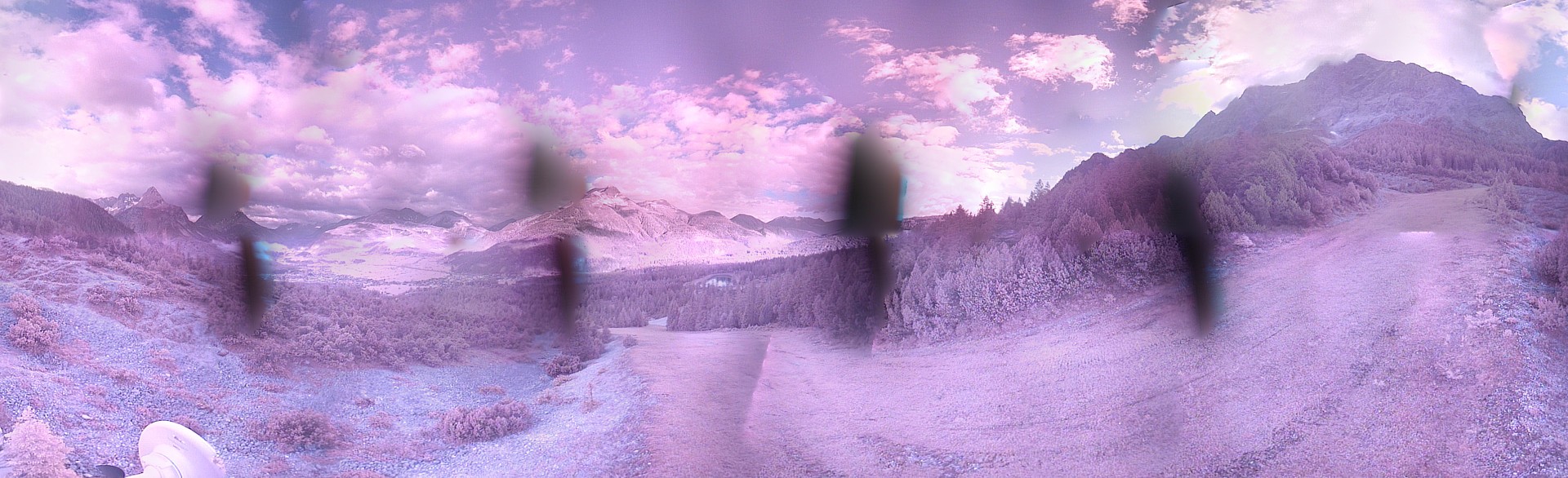 Archiv Foto Webcam Weißlähnabfahrt, Skigebiet Ehrwald