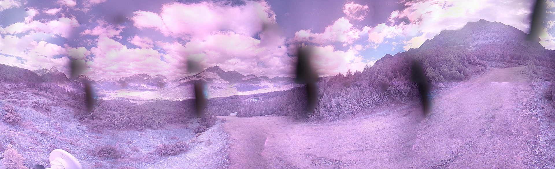 Archiv Foto Webcam Weißlähnabfahrt, Skigebiet Ehrwald