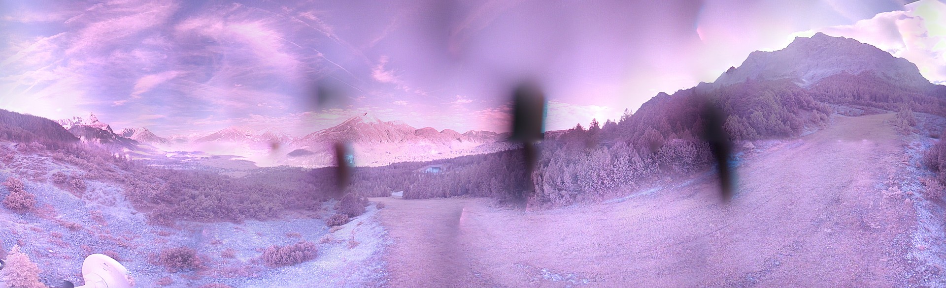 Archiv Foto Webcam Weißlähnabfahrt, Skigebiet Ehrwald