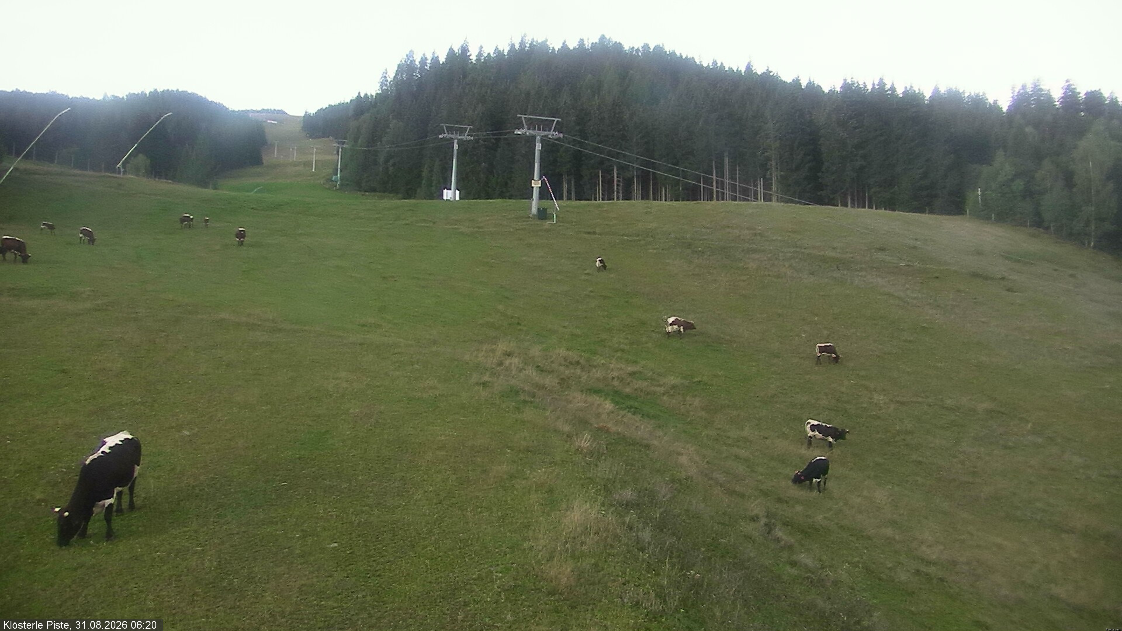 Archived image Webcam "Klösterleabfahrt" slope