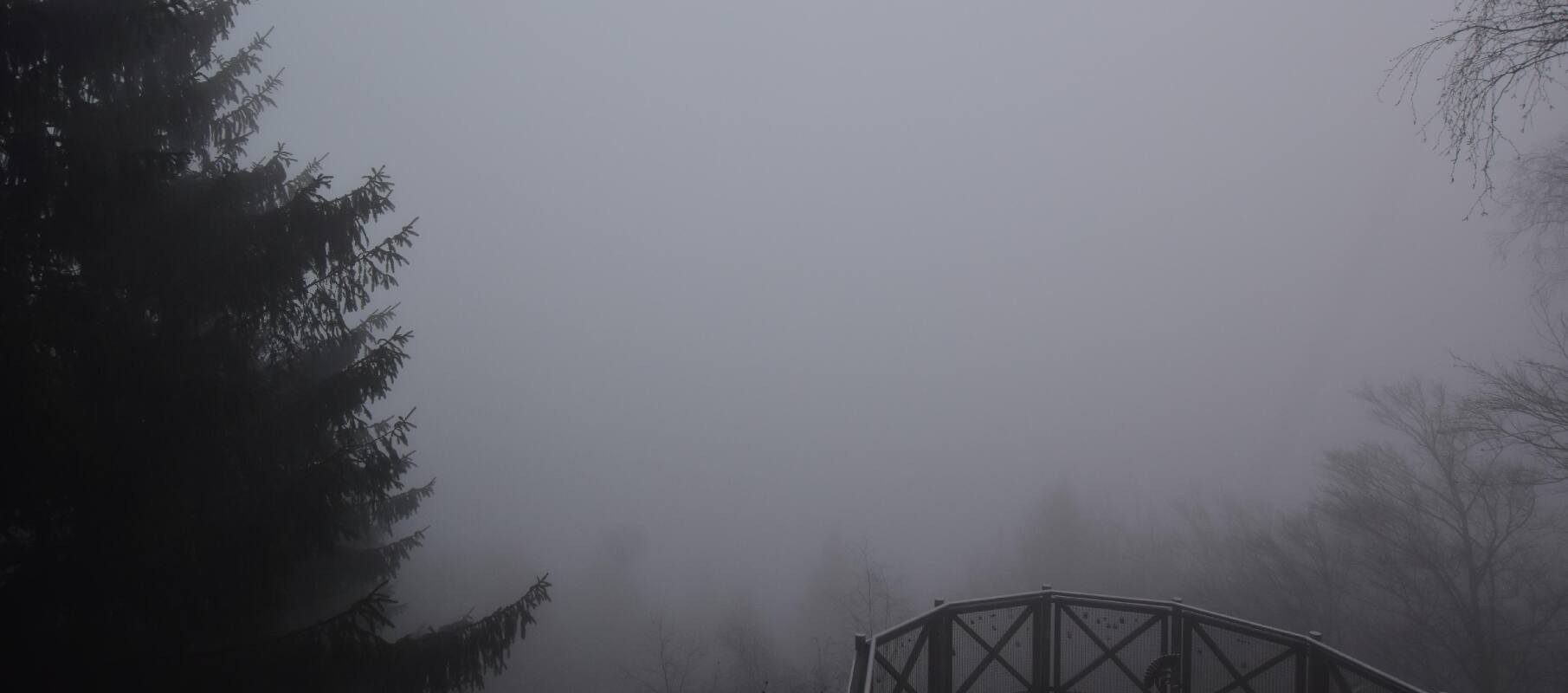 Archived image Webcam Haibach: Schlögener Donauschlinge