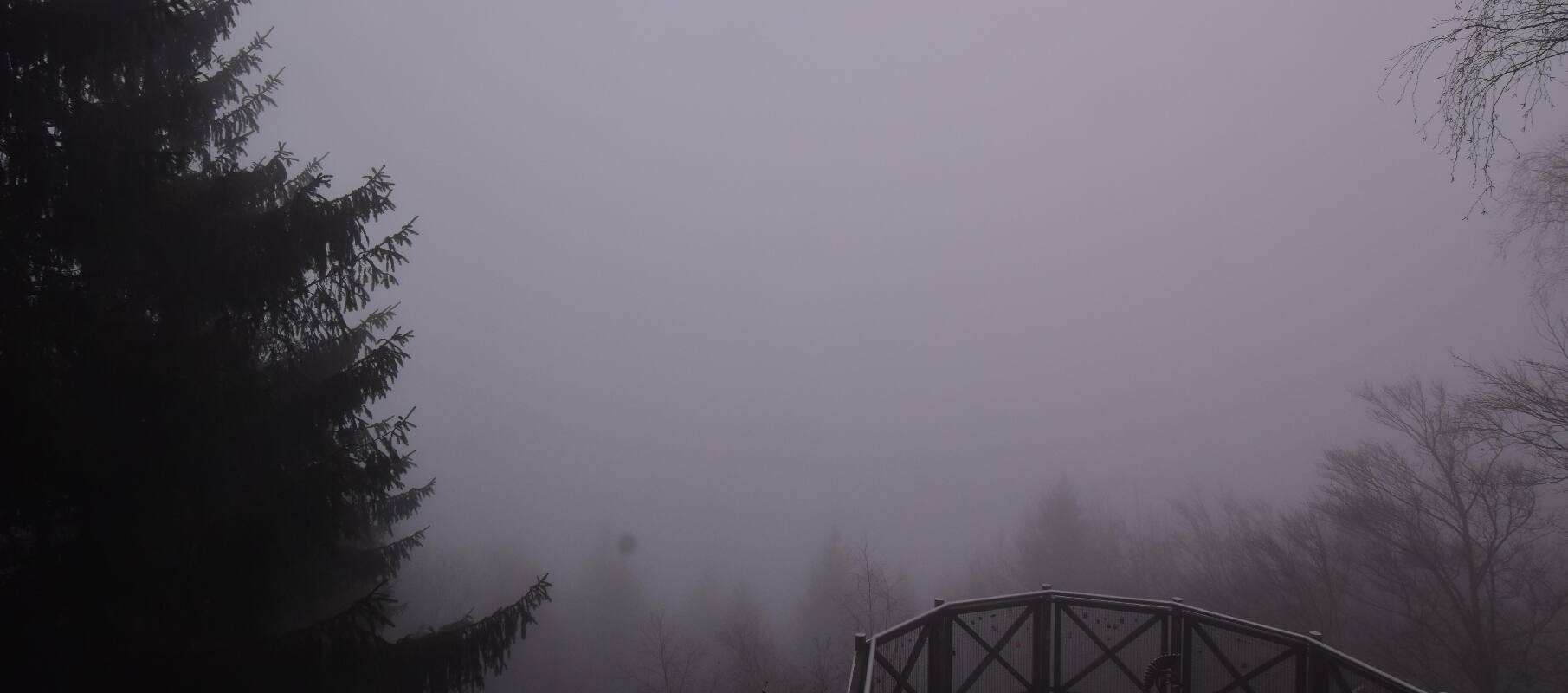 Archived image Webcam Haibach: Schlögener Donauschlinge