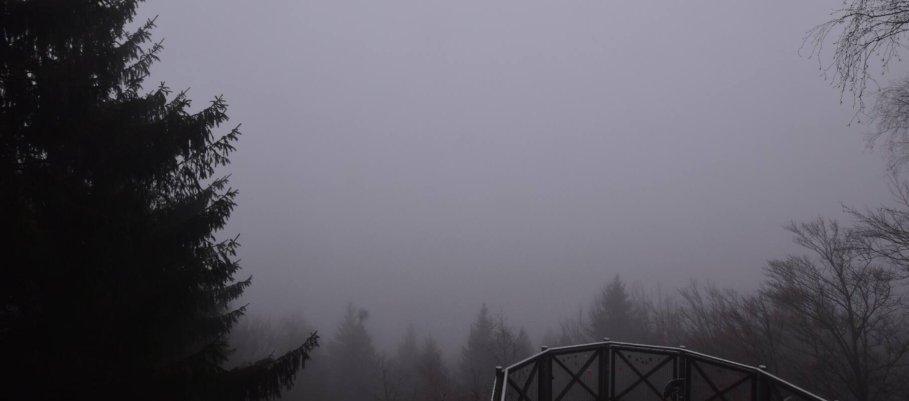 Archived image Webcam Haibach: Schlögener Donauschlinge