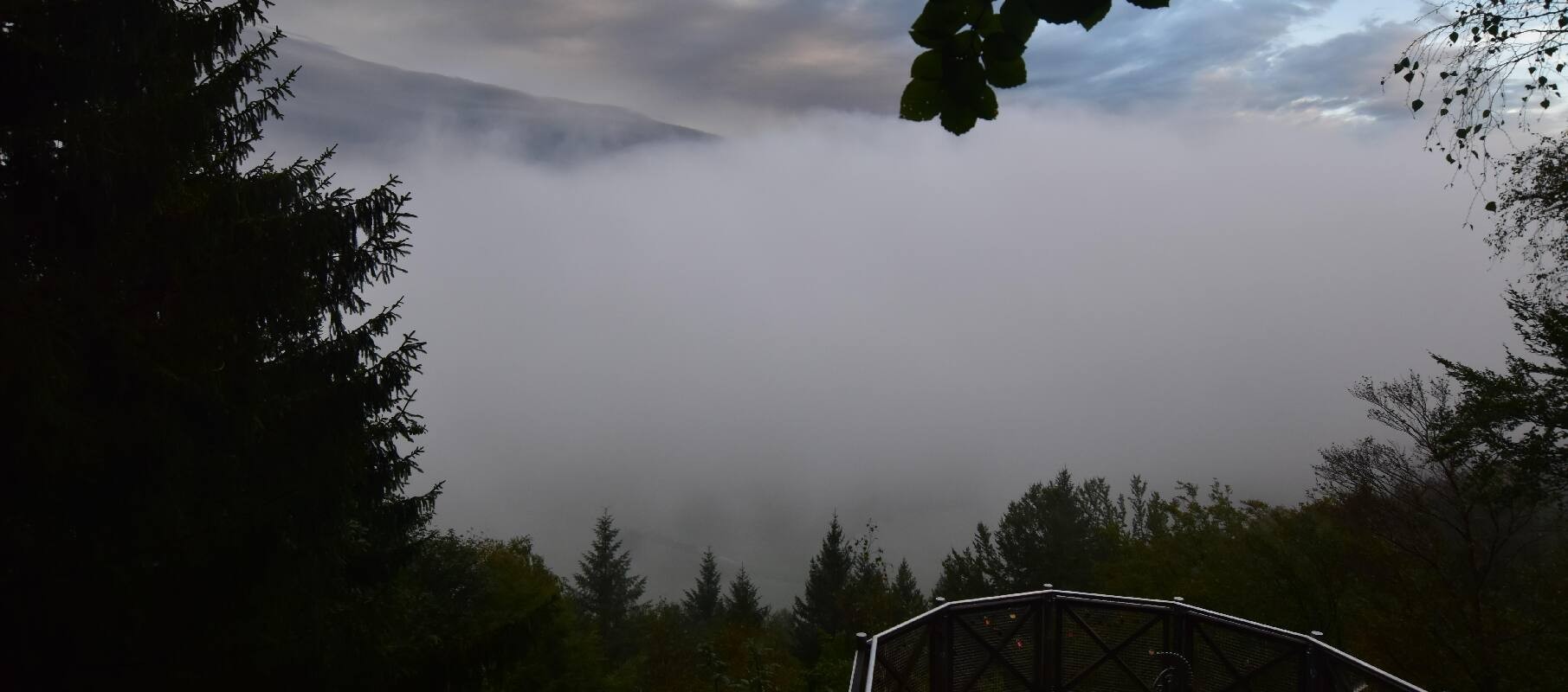 Archived image Webcam Haibach: Schlögener Donauschlinge