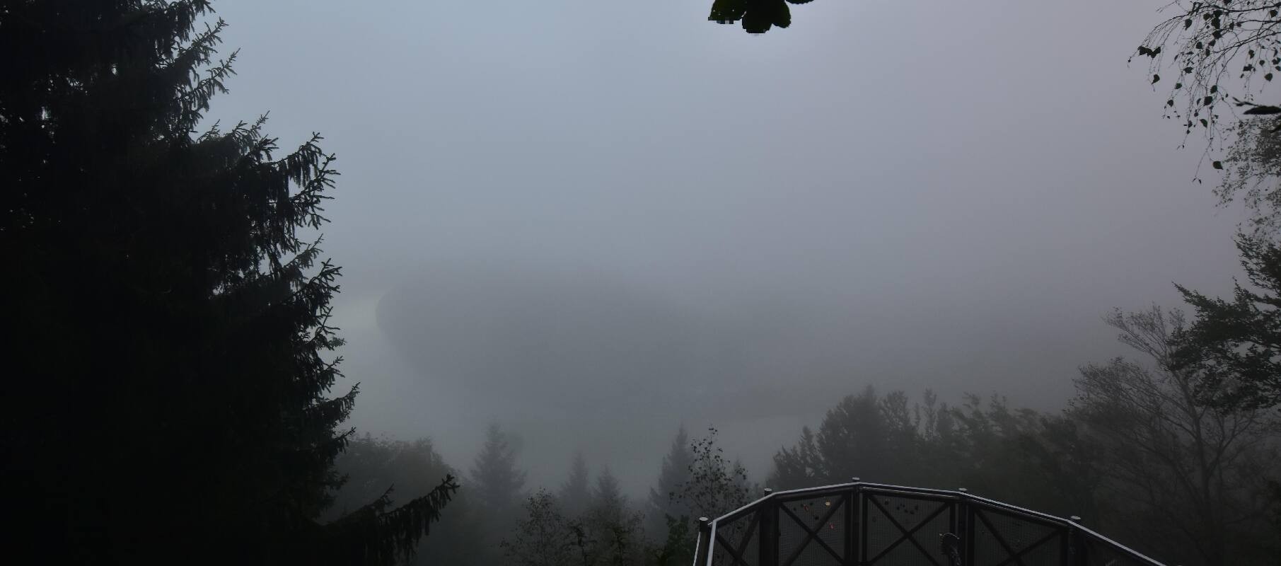 Archiv Foto Webcam Schlögener Schlinge im Oberen Donautal