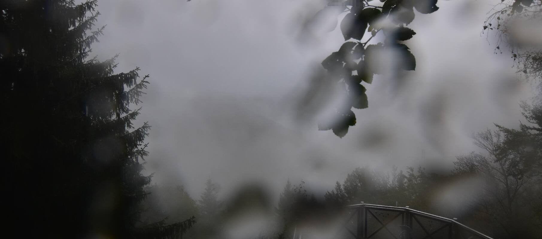 Archiv Foto Webcam Schlögener Schlinge im Oberen Donautal