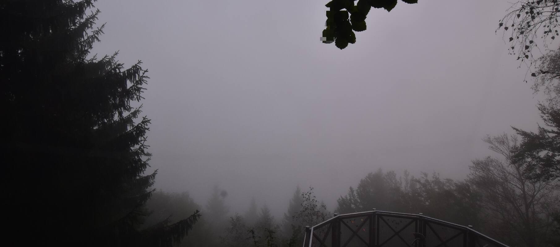 Archiv Foto Webcam Schlögener Schlinge im Oberen Donautal