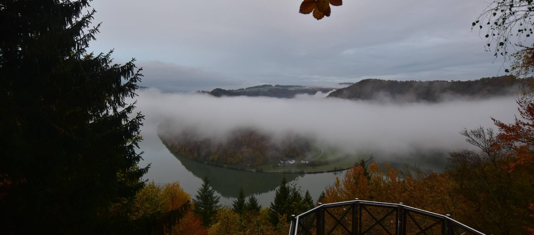 Archiv Foto Webcam Schlögener Schlinge im Oberen Donautal