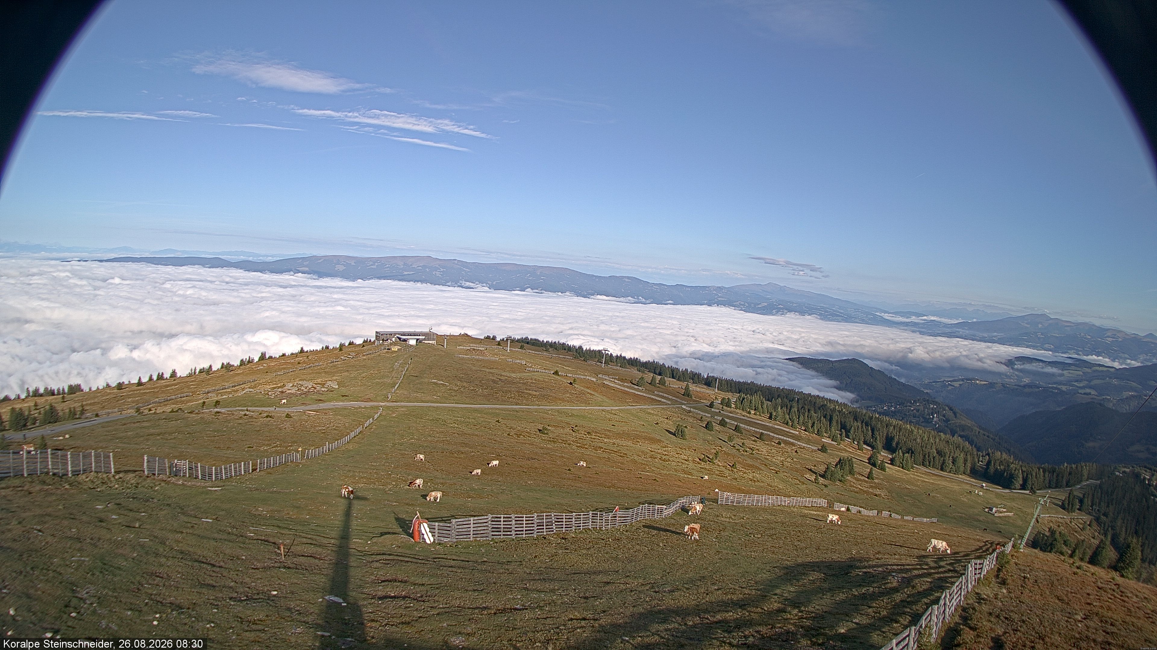 Archiv Foto Webcam Steinschneider-Lift (Koralpe)