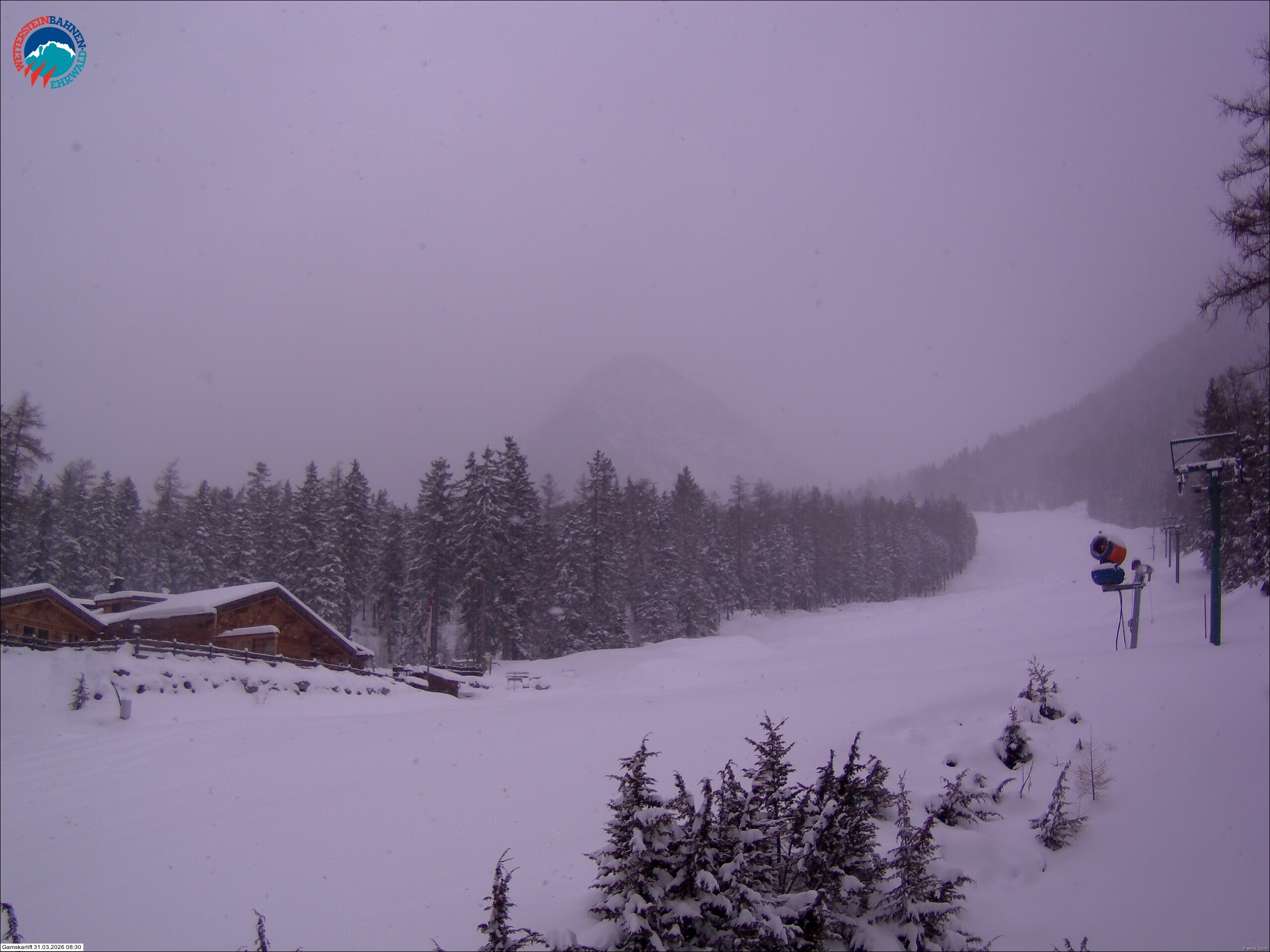 Archiv Foto Webcam Gamskarlift im Skigebiet Ehrwald