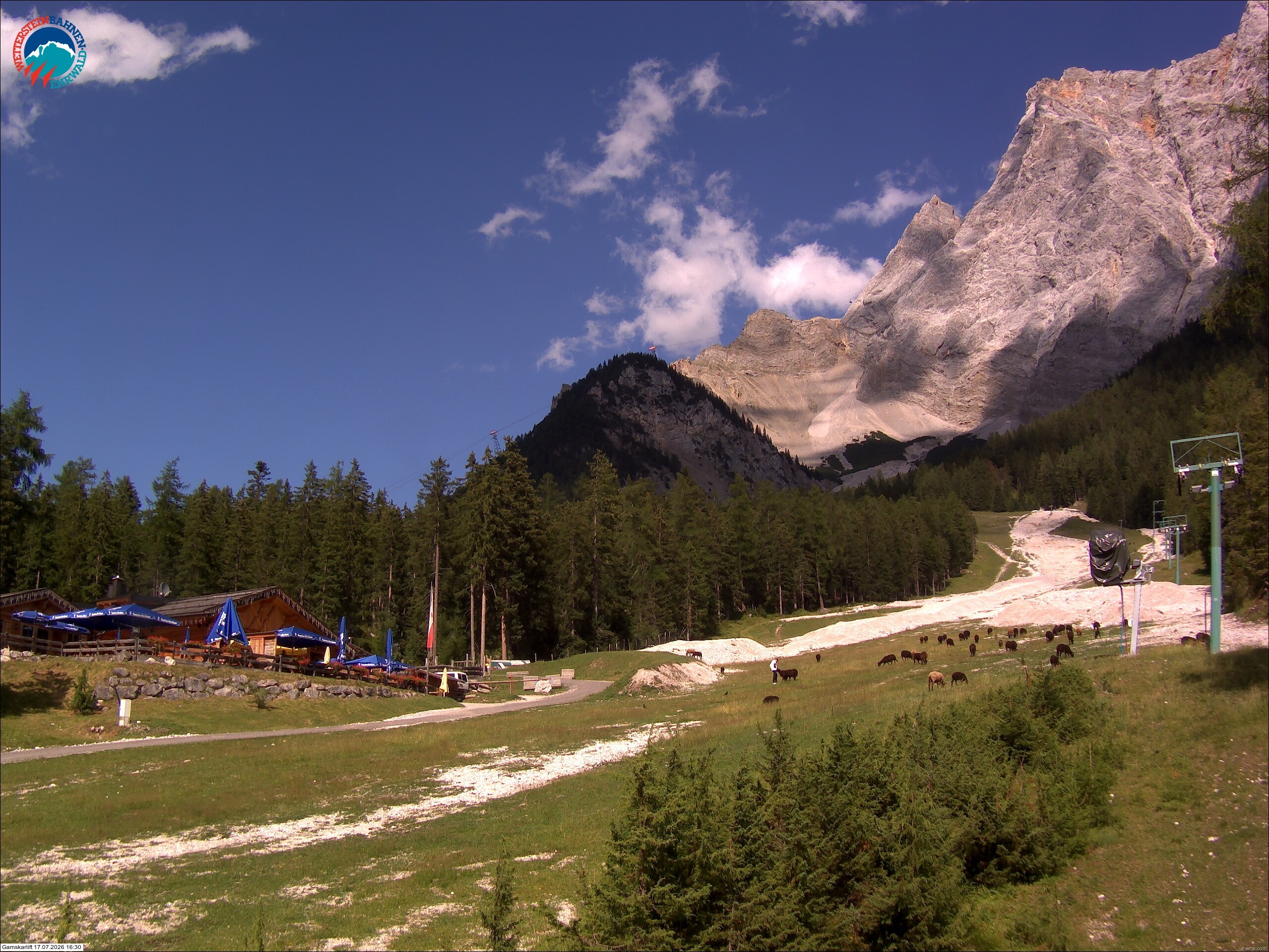 Archiv Foto Webcam Gamskarlift im Skigebiet Ehrwald