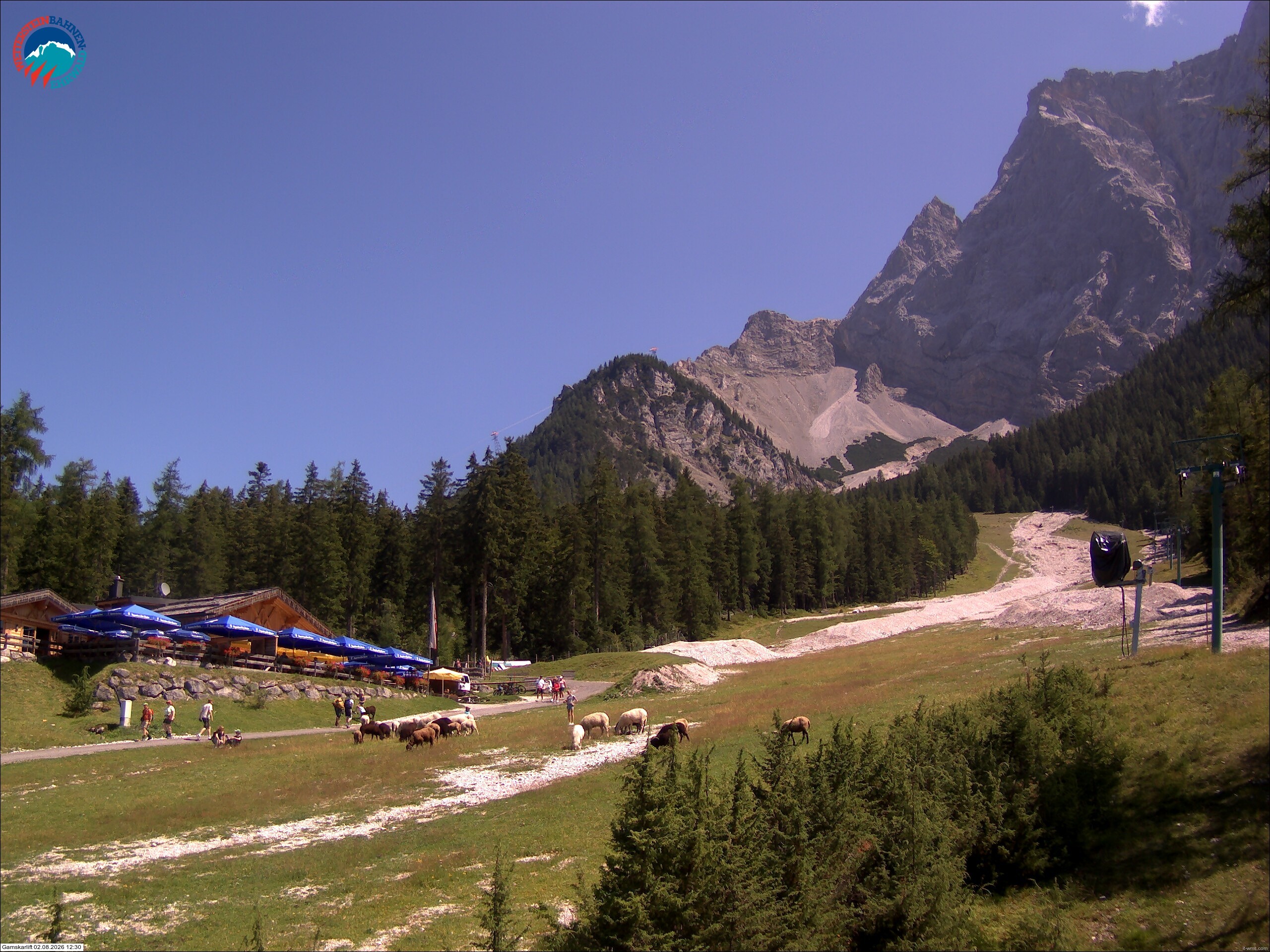 Archiv Foto Webcam Gamskarlift im Skigebiet Ehrwald