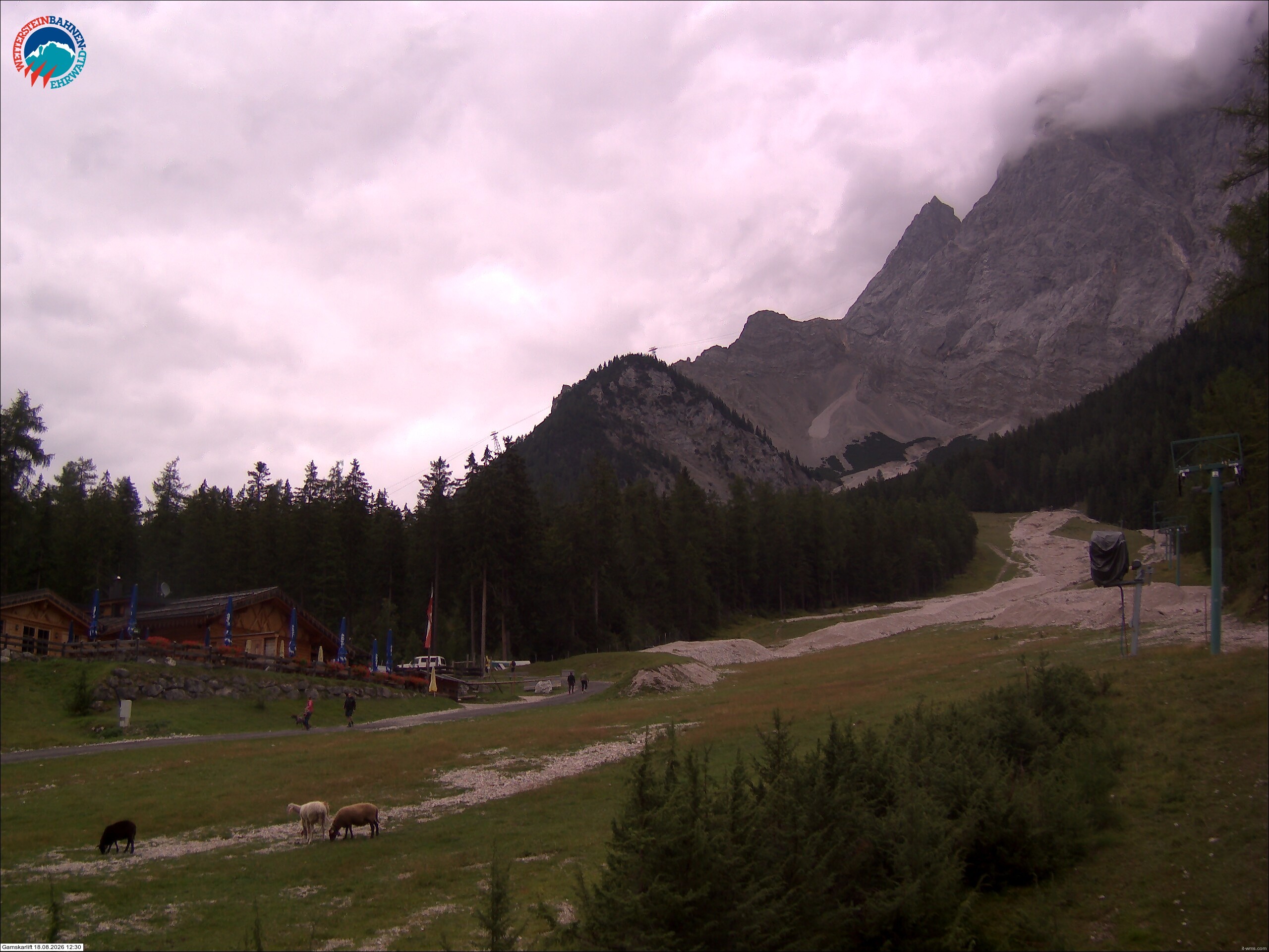 Archiv Foto Webcam Gamskarlift im Skigebiet Ehrwald