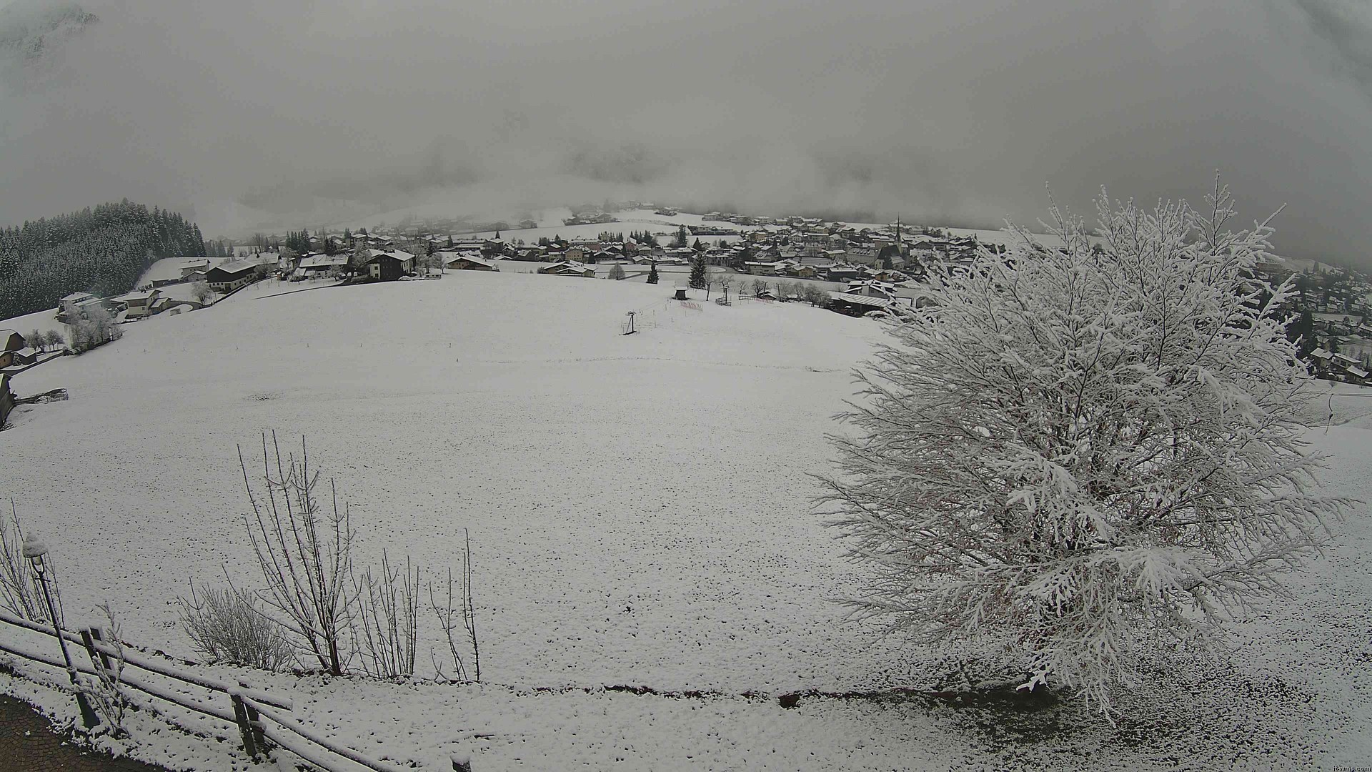 Archiv Foto Webcam Abtenau: Ausblick vom Gasthaus zur Sonnleitn