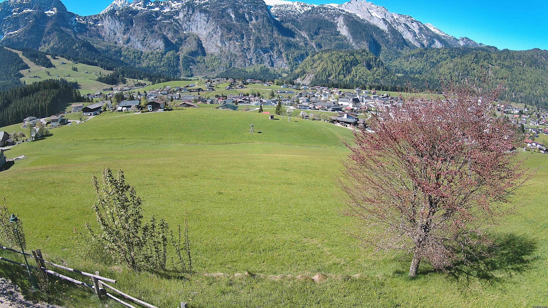 Archiv Foto Webcam Abtenau: Ausblick vom Gasthaus zur Sonnleitn