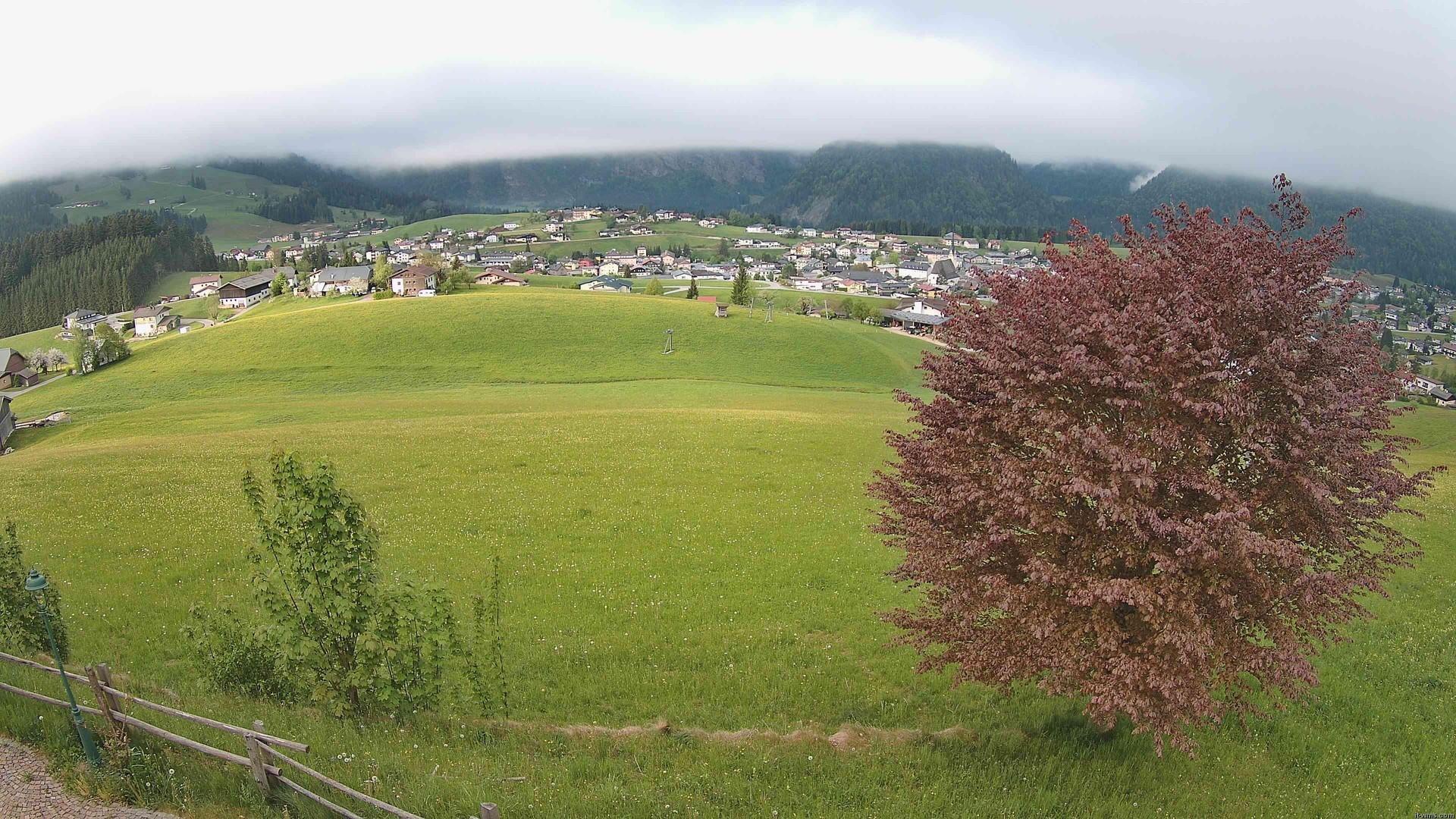 Archiv Foto Webcam Abtenau: Ausblick vom Gasthaus zur Sonnleitn