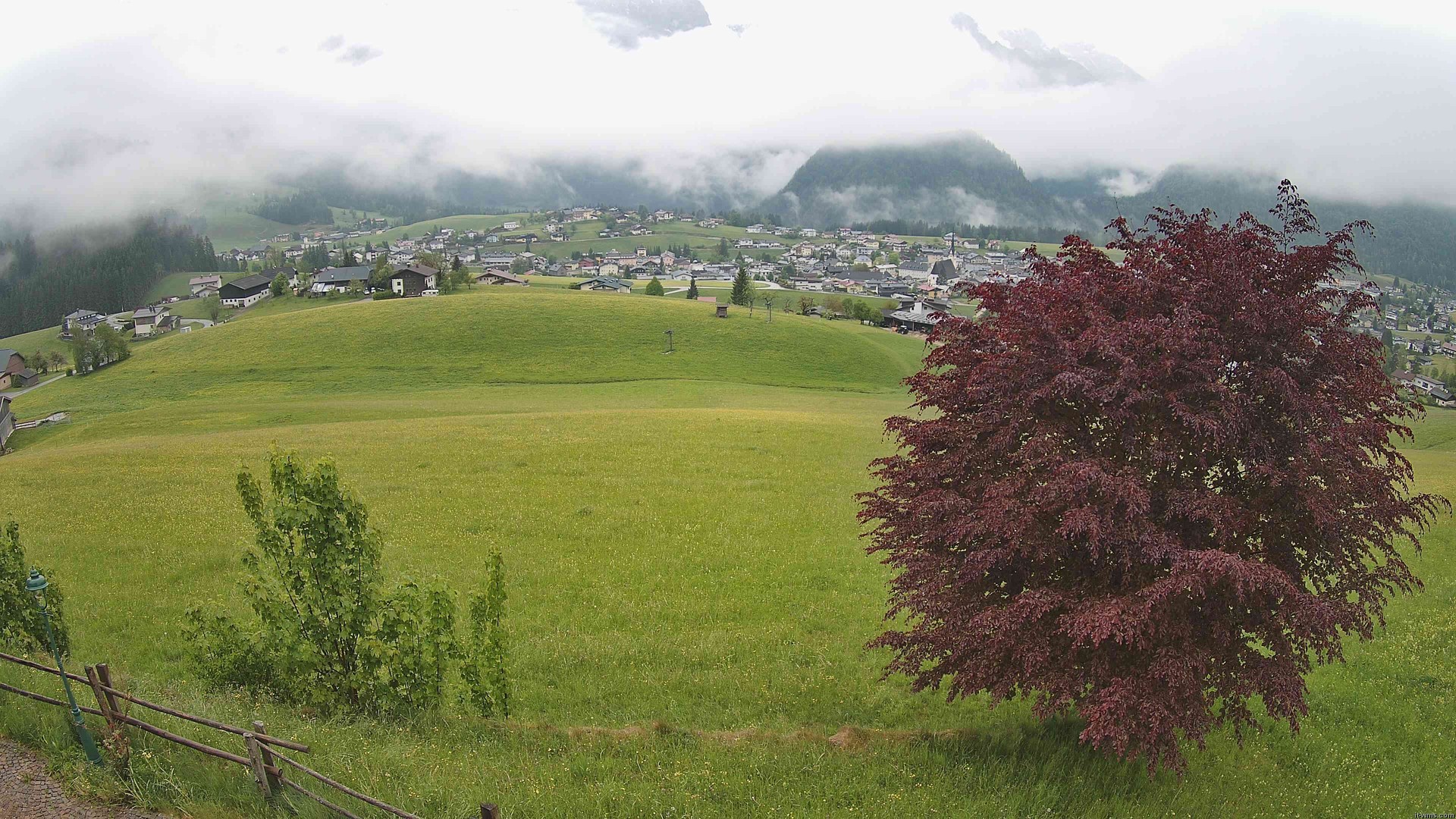 Archiv Foto Webcam Abtenau: Ausblick vom Gasthaus zur Sonnleitn
