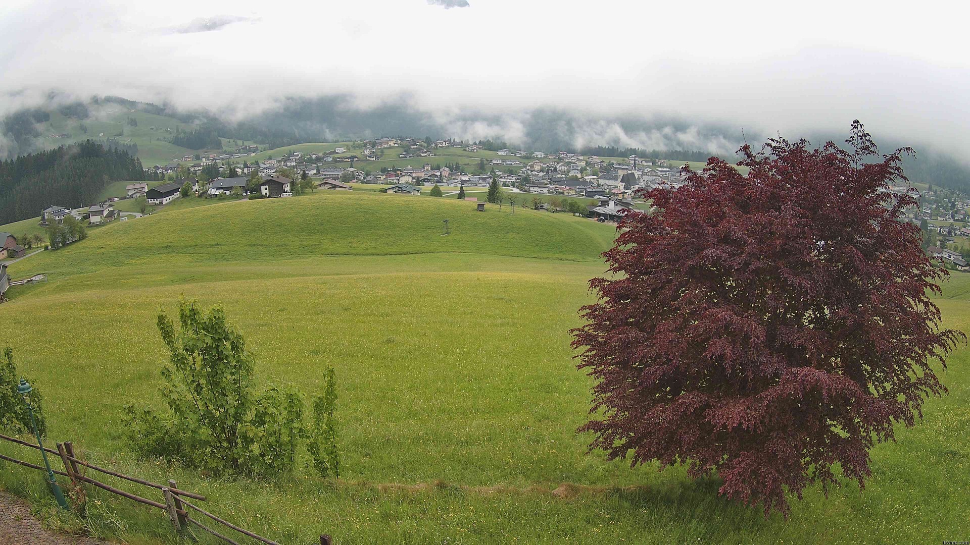 Archiv Foto Webcam Abtenau: Ausblick vom Gasthaus zur Sonnleitn