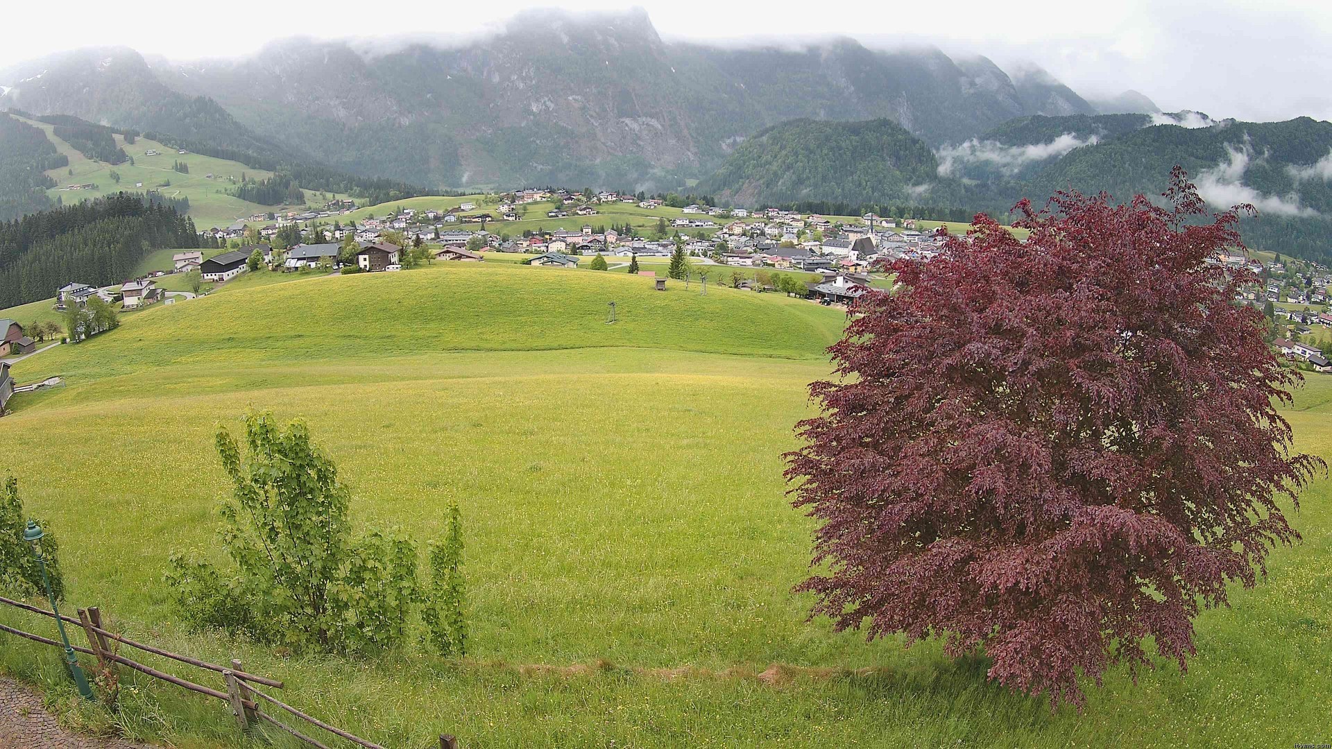 Archiv Foto Webcam Abtenau: Ausblick vom Gasthaus zur Sonnleitn