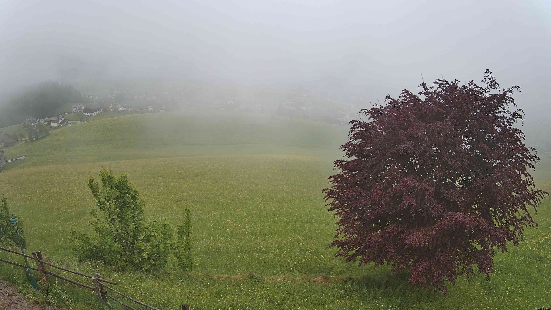 Archiv Foto Webcam Abtenau: Ausblick vom Gasthaus zur Sonnleitn