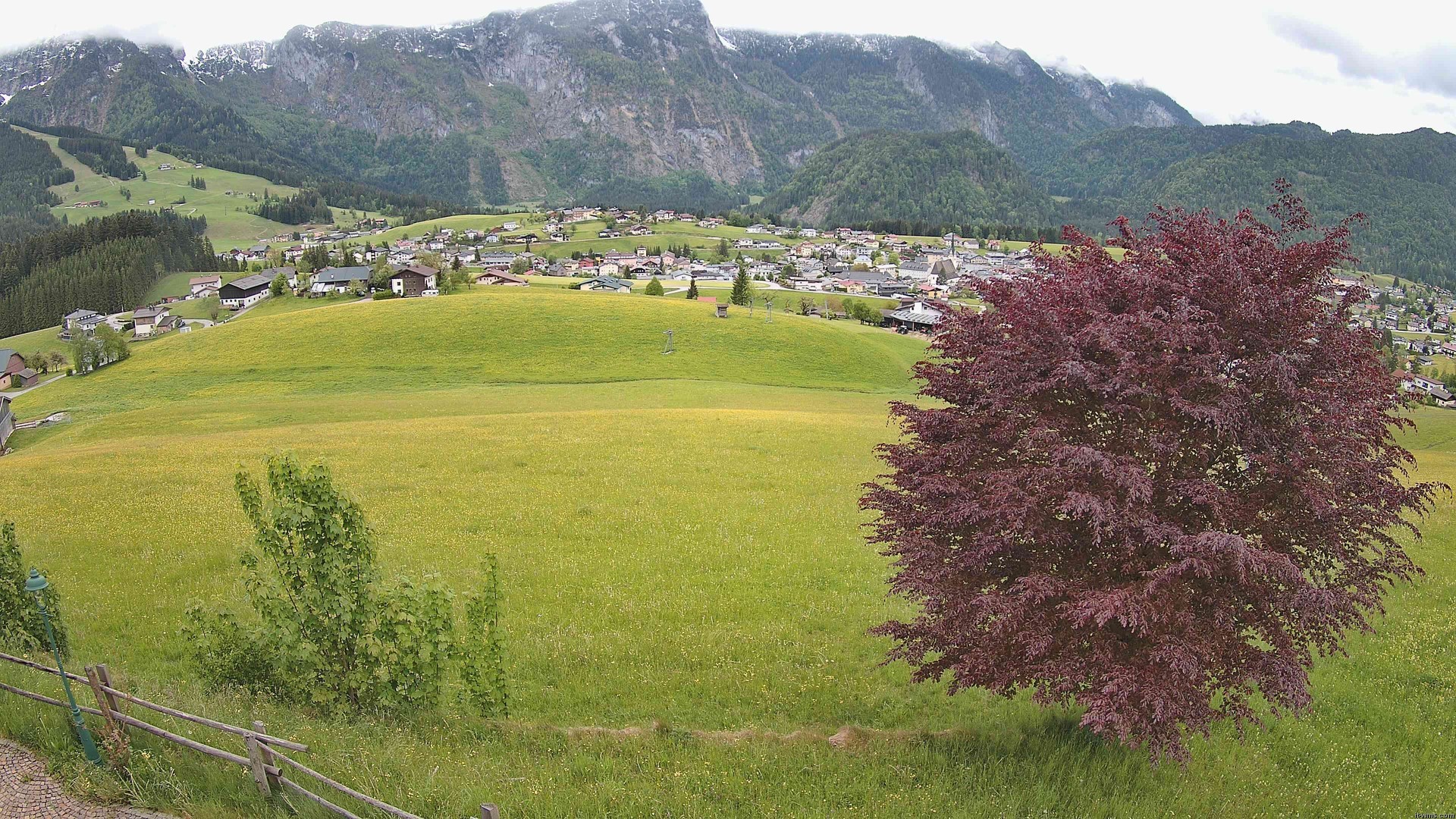 Archiv Foto Webcam Abtenau: Ausblick vom Gasthaus zur Sonnleitn