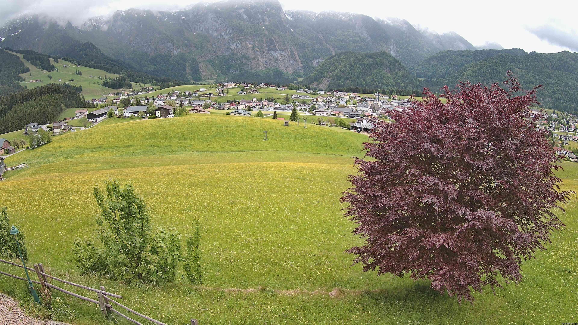 Archiv Foto Webcam Abtenau: Ausblick vom Gasthaus zur Sonnleitn