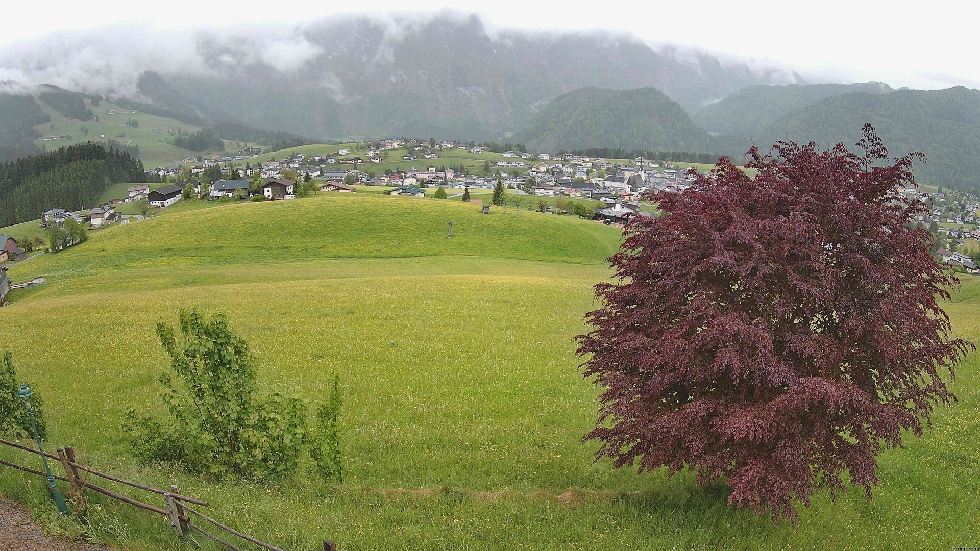 Archiv Foto Webcam Abtenau: Ausblick vom Gasthaus zur Sonnleitn