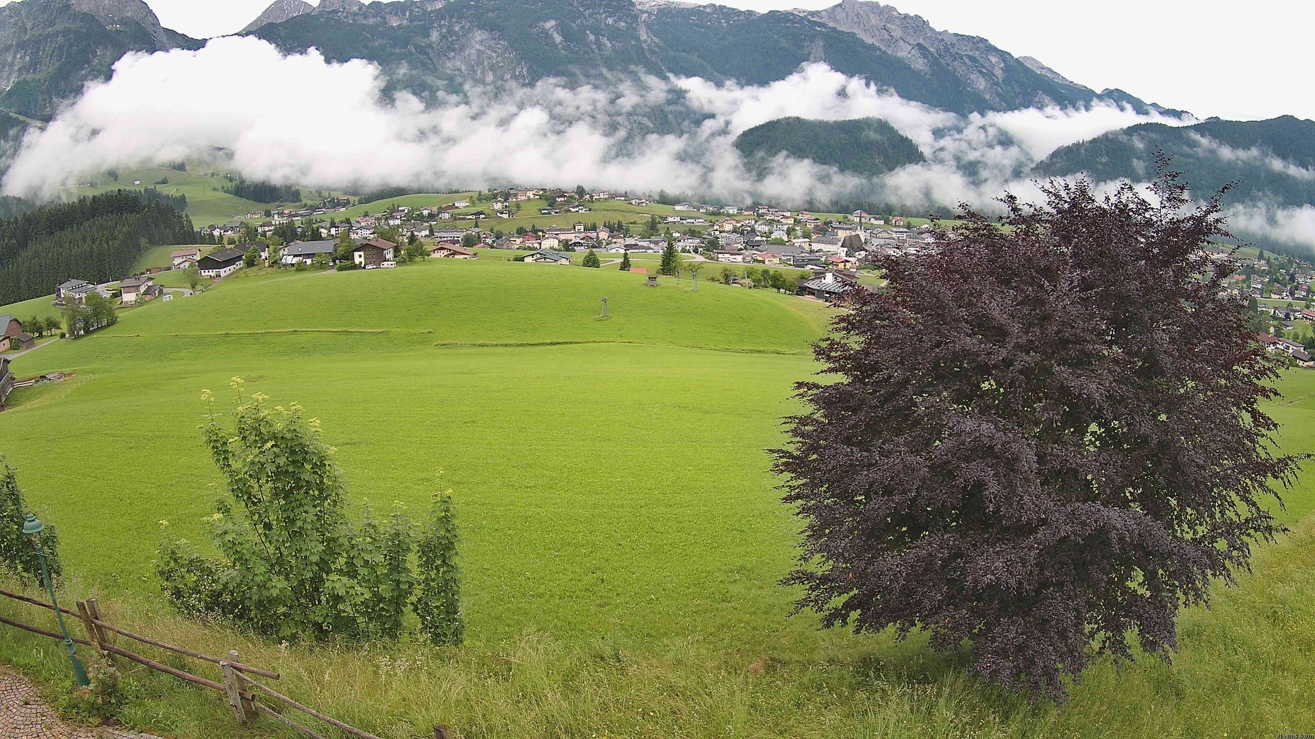 Archiv Foto Webcam Abtenau: Ausblick vom Gasthaus zur Sonnleitn