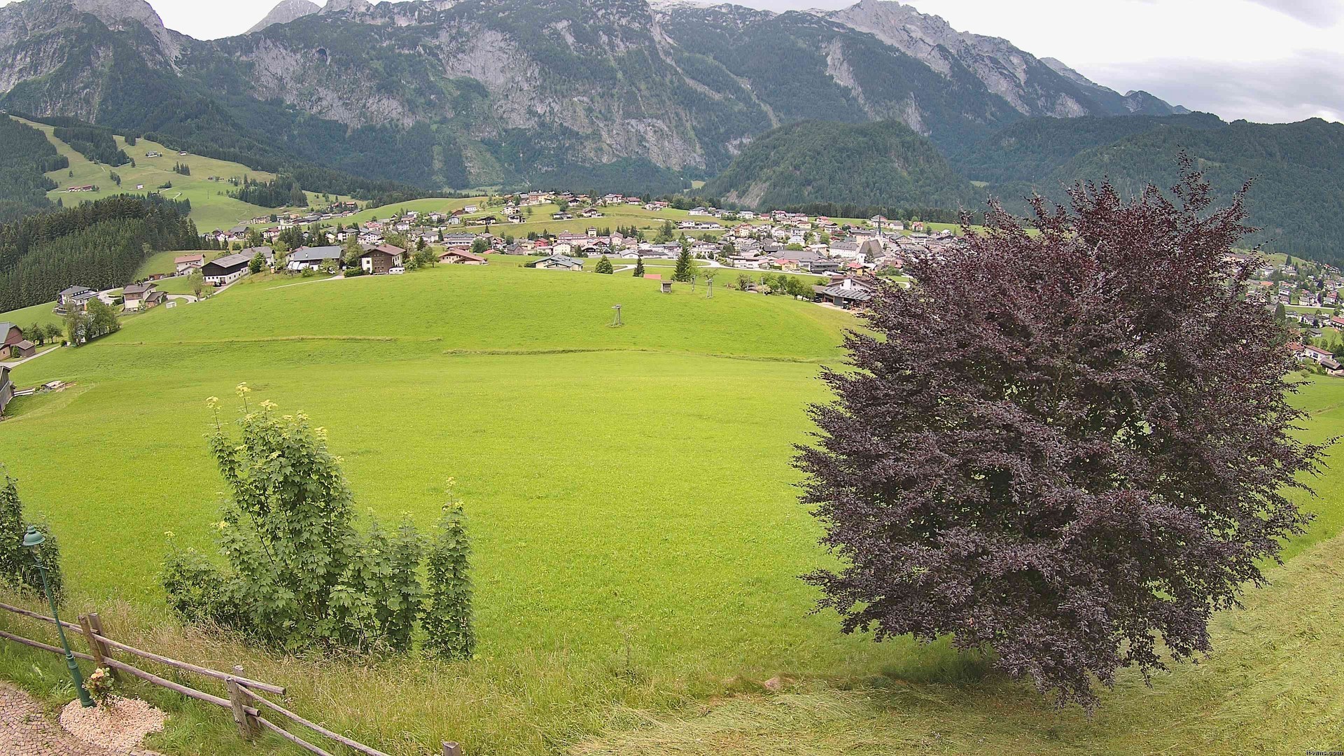 Archiv Foto Webcam Abtenau: Ausblick vom Gasthaus zur Sonnleitn
